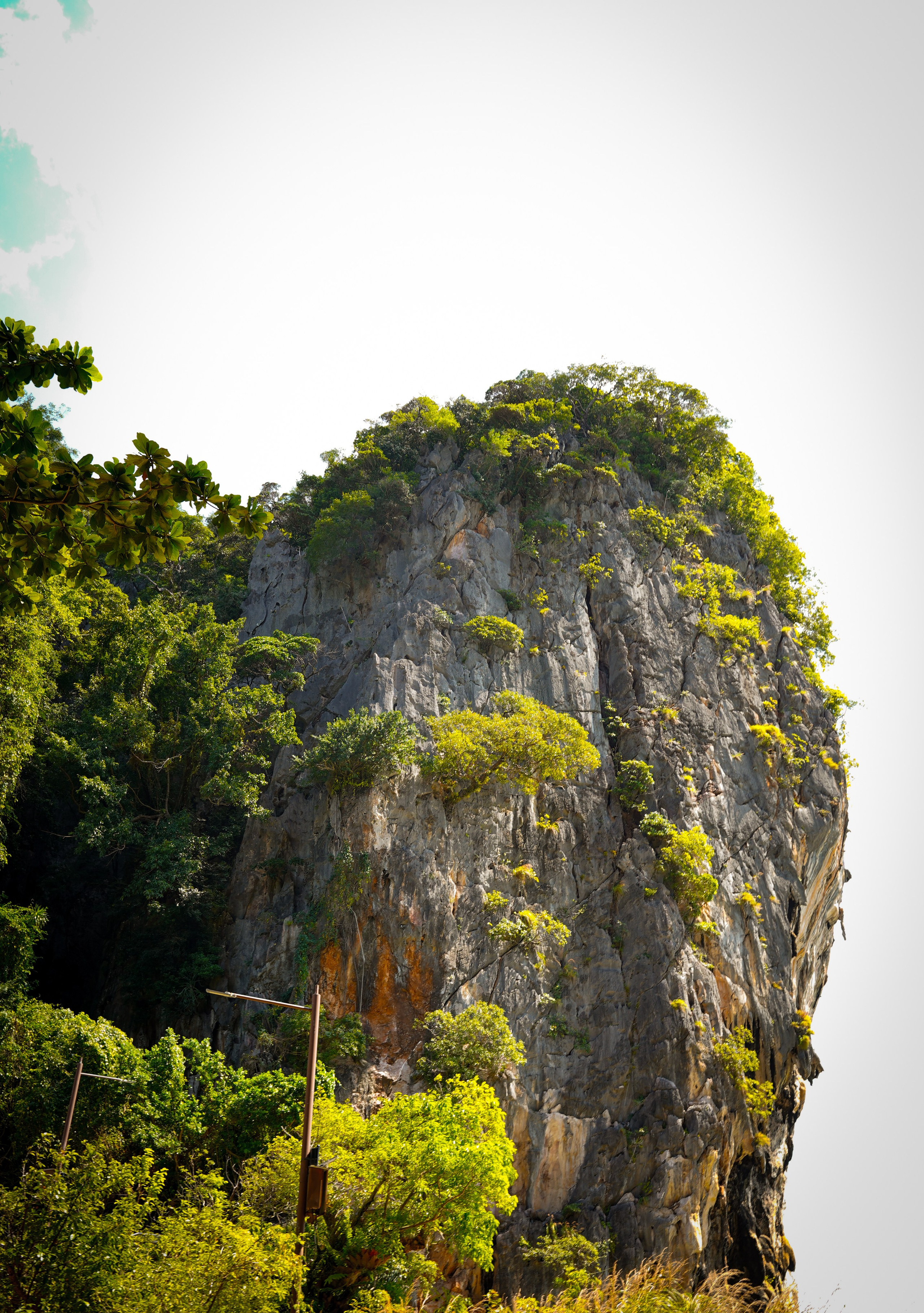 Архитектура и природа. Главная