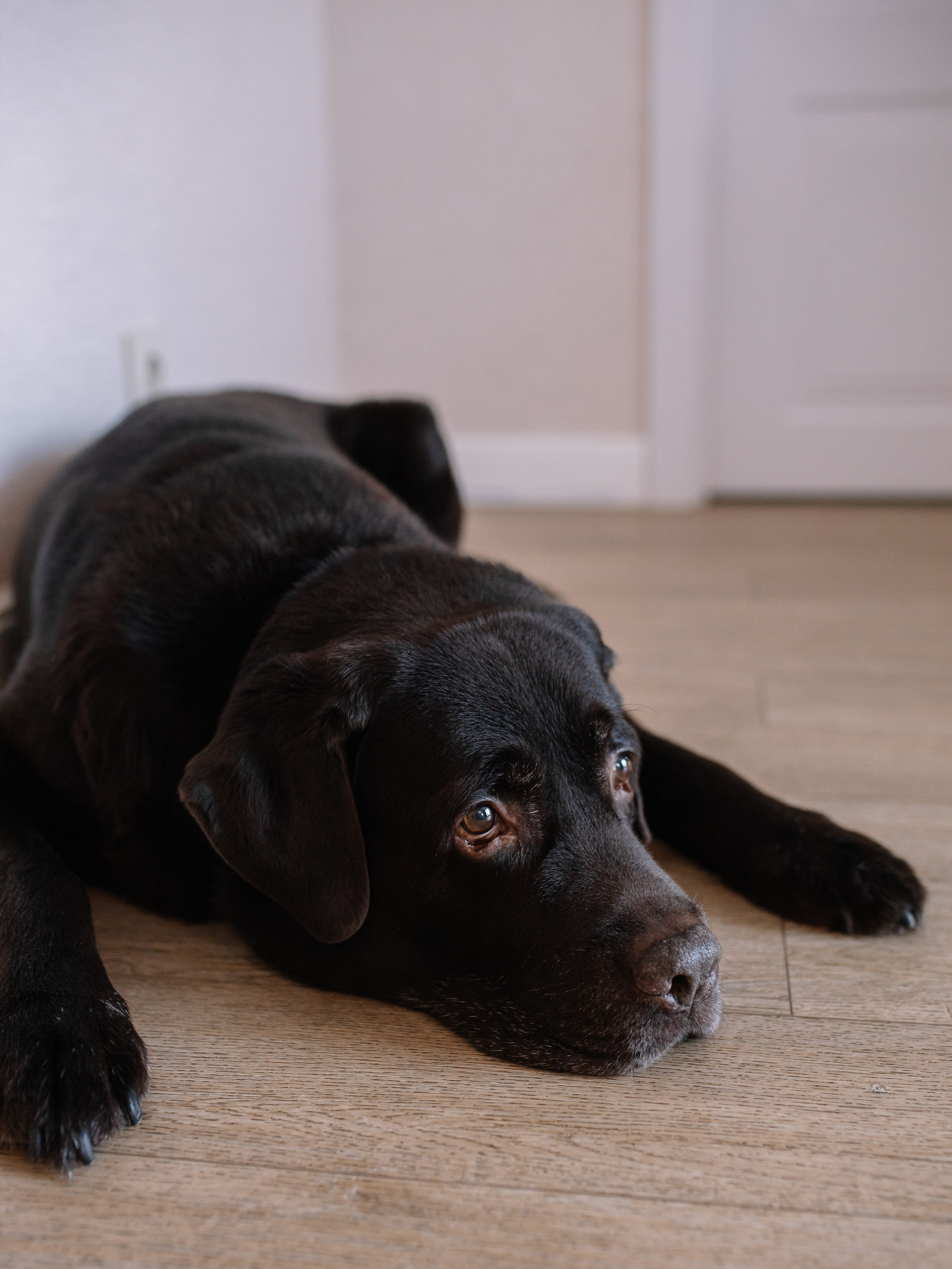 Кристина. Семейный фотограф Трусова Евгения в Екатеринбурге