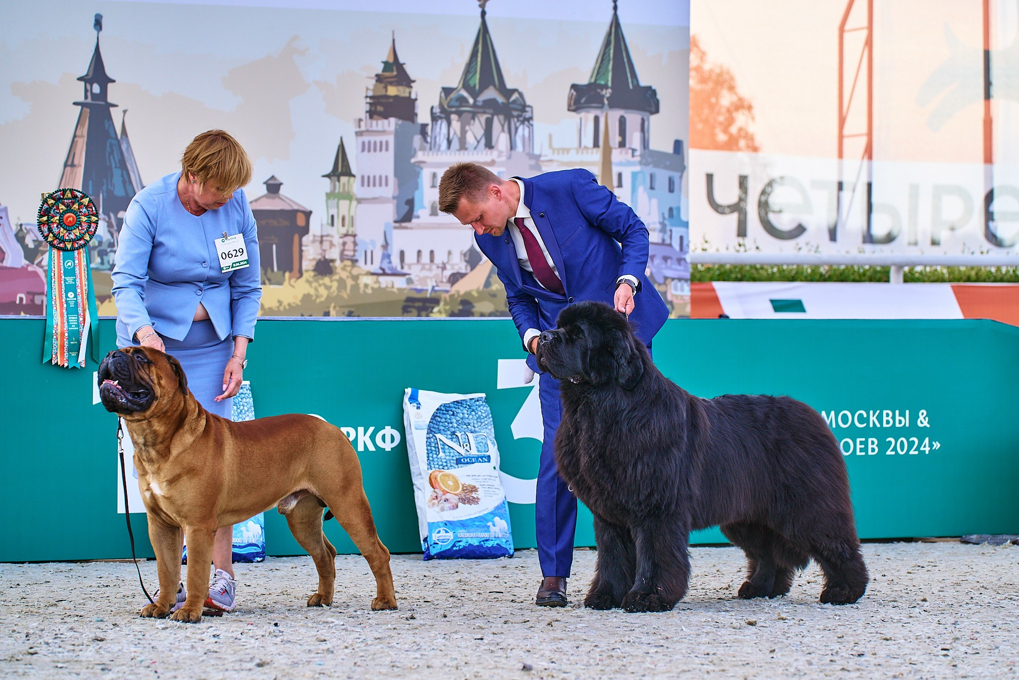 08.06.2024 «РОССИЯ. КУБОК РКФ 2024»