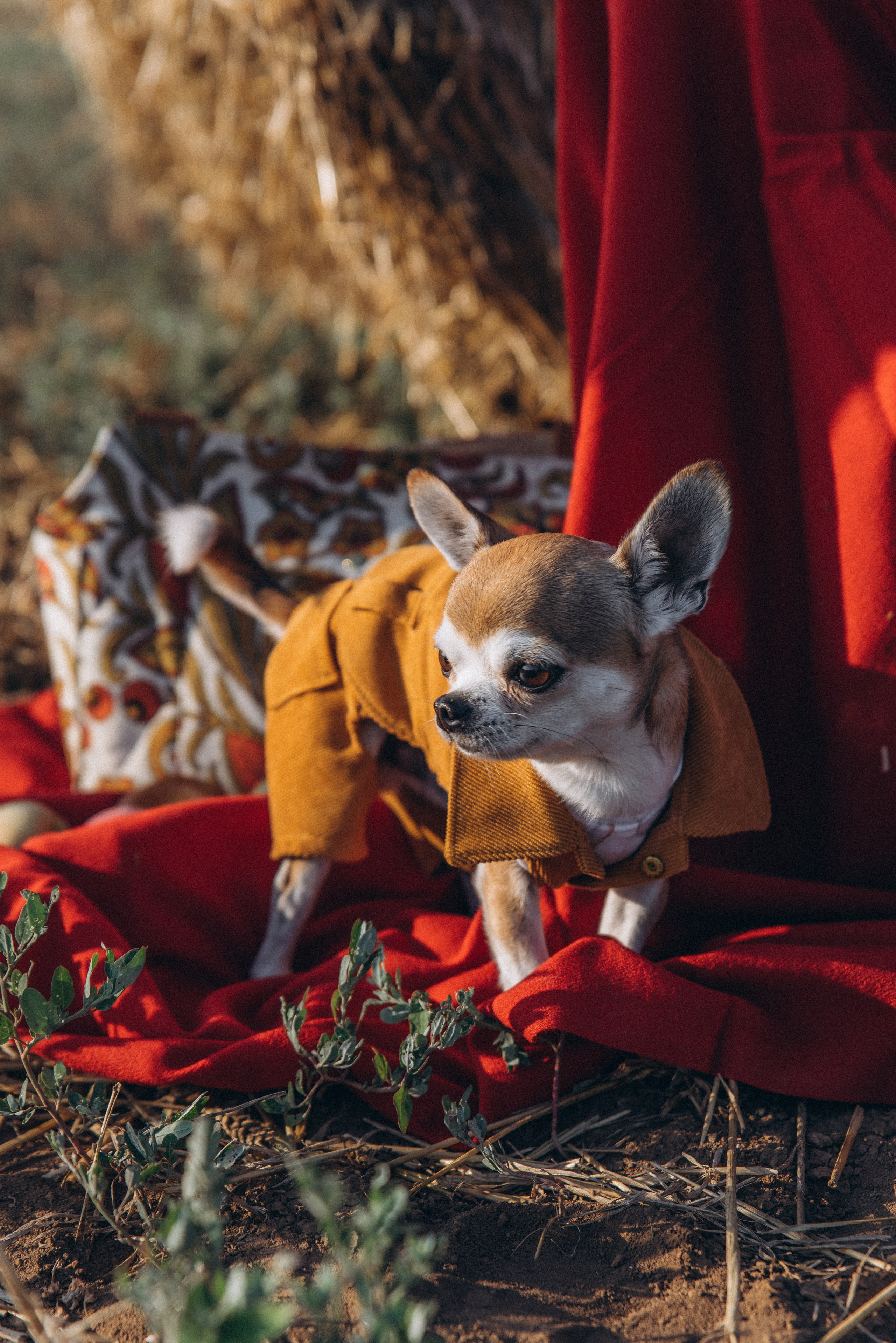 ЛЕНА. Ольга Козлова фотограф Волгоград olkiny-fotki.ru