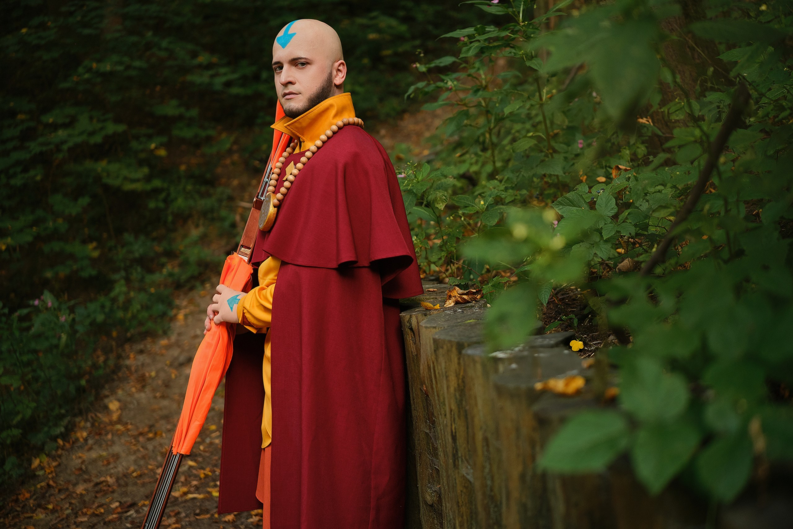 Avatar: The Legend of Aang. Косплей фотограф Christa Photo