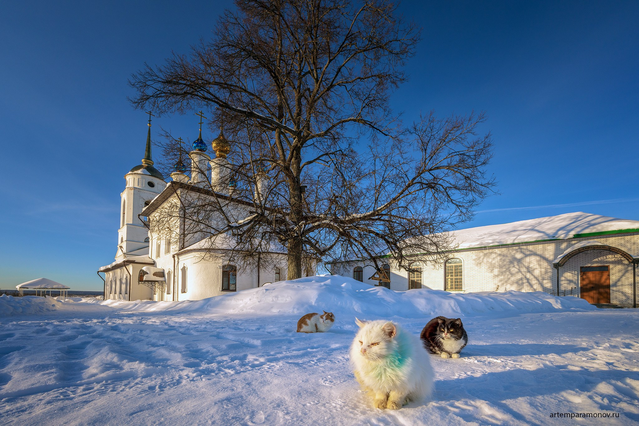 Свято- Покровский Добрый монастырь. Фотохудожник Артём Парамонов