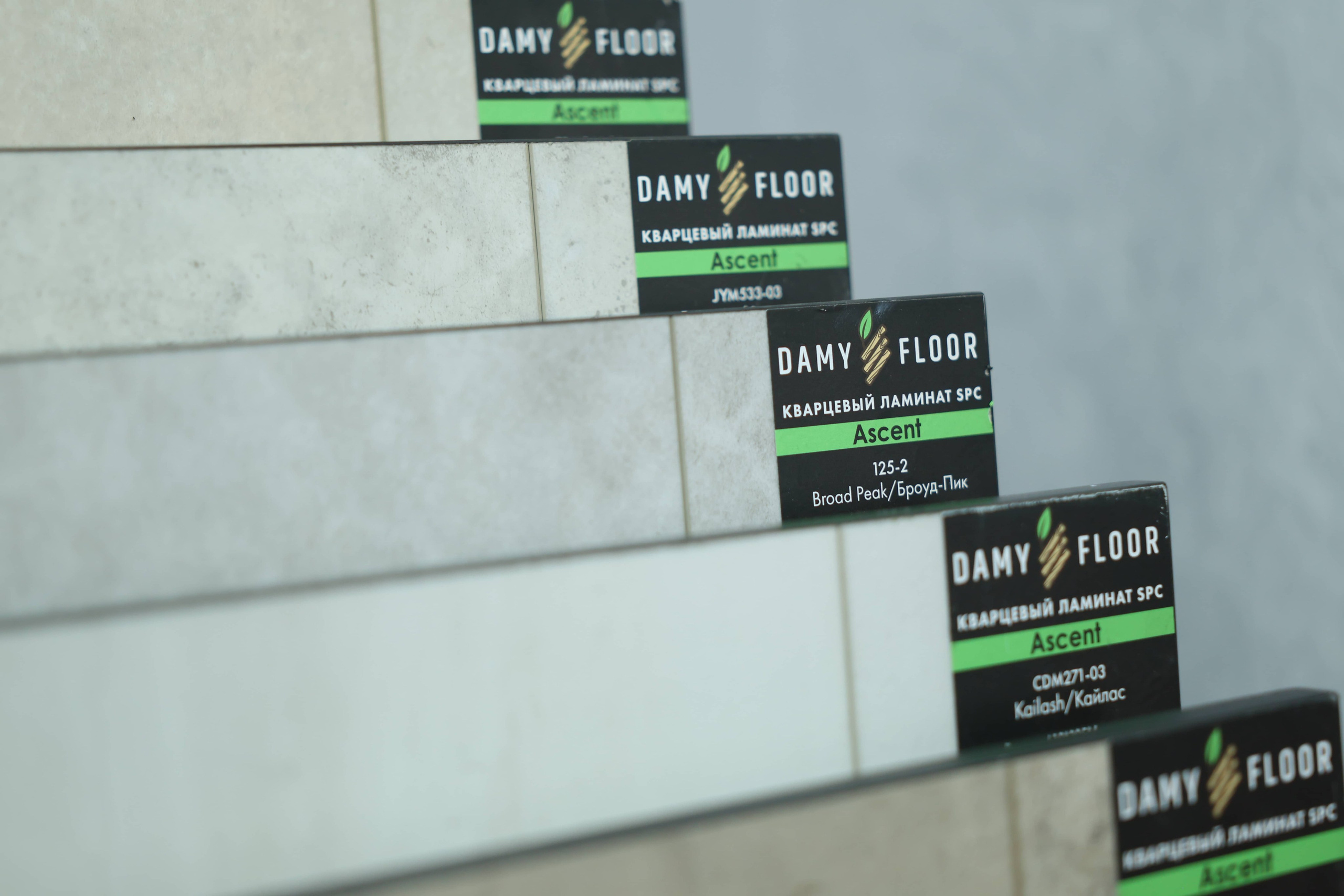 Damy Floor