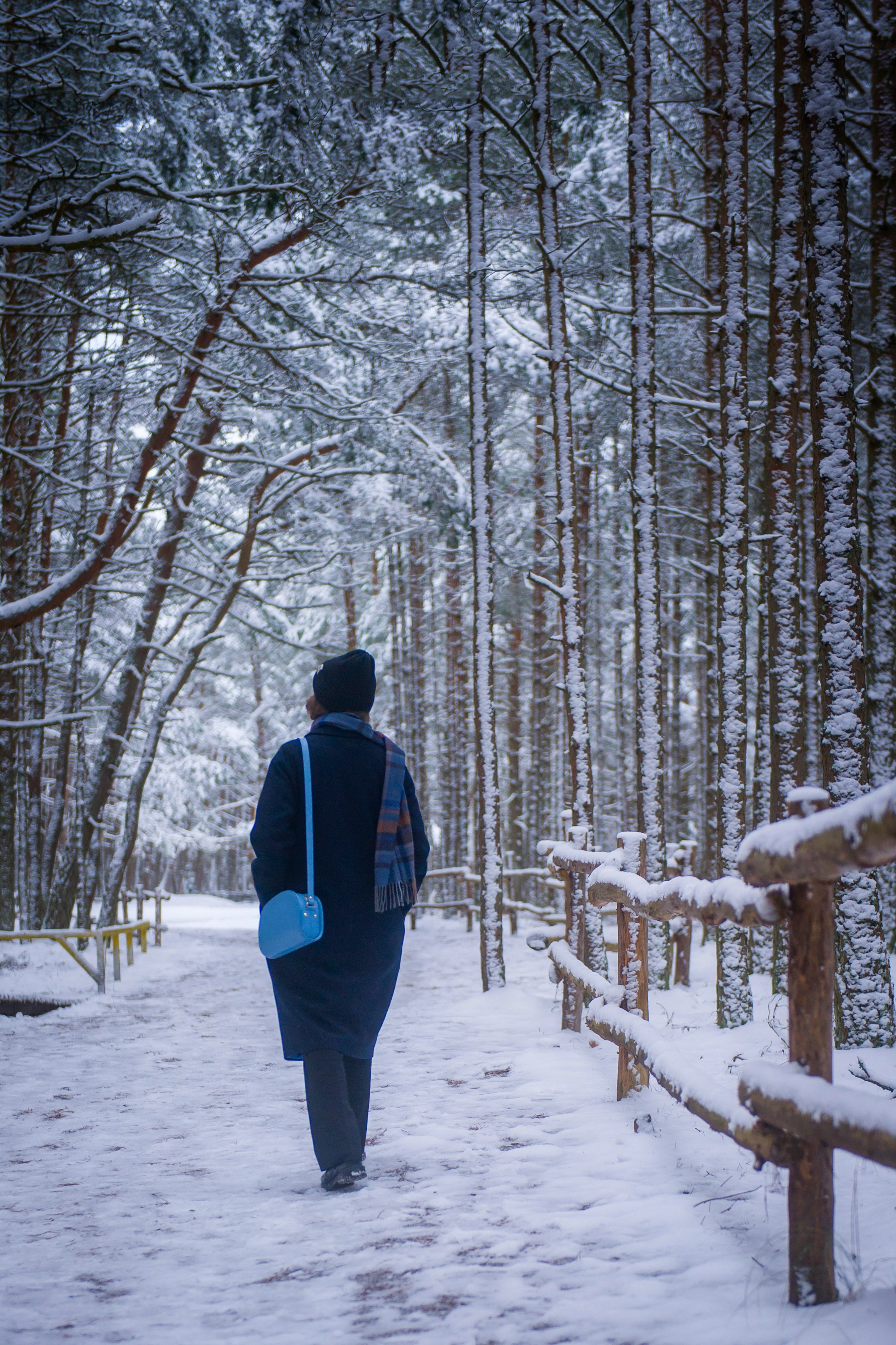 ФОТОПРОГУЛКИ. Фотограф Вера Демидкова