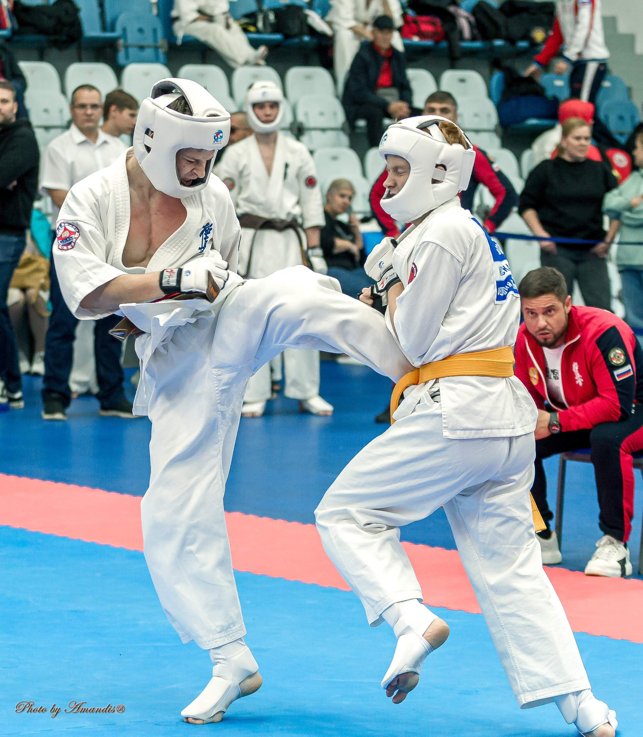 Чемпионат по Киокушинкай Центрального Федерального округа. Репортажная съемка в Москве и области. Анималистика