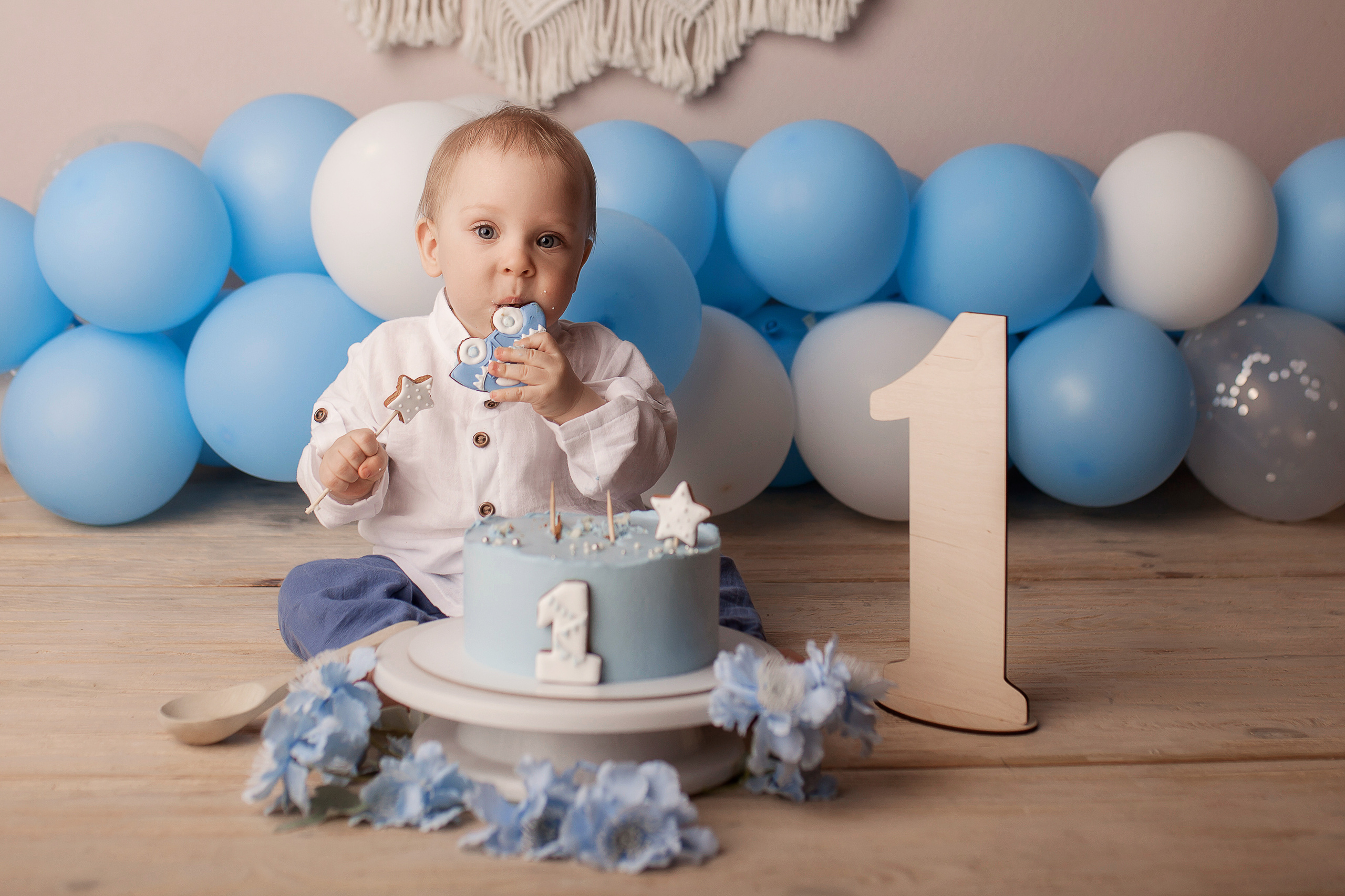Ефим, 1 годик. Фотограф новорожденных в Новокузнецке Анна Горошникова