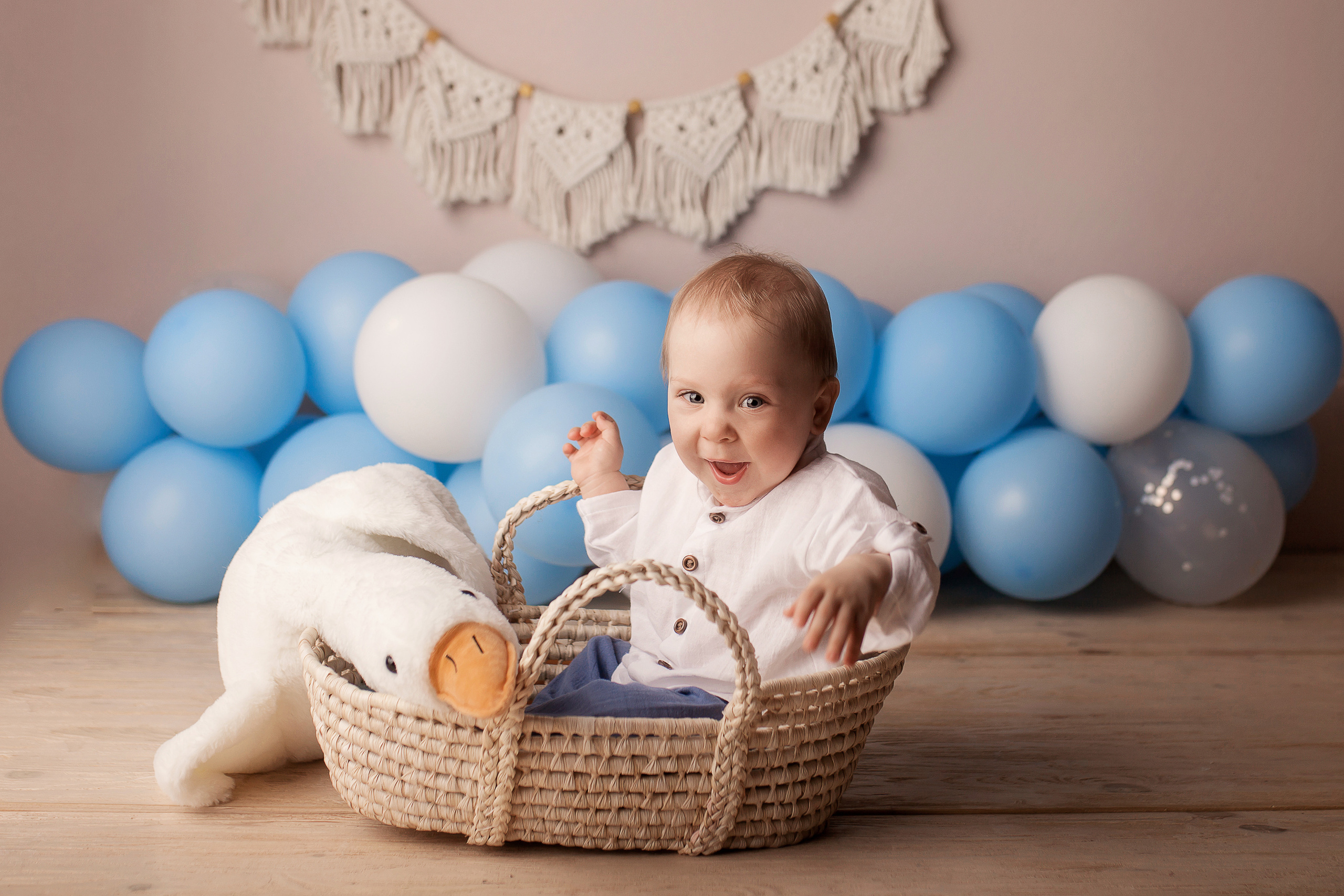 Ефим, 1 годик. Фотограф новорожденных в Новокузнецке Анна Горошникова