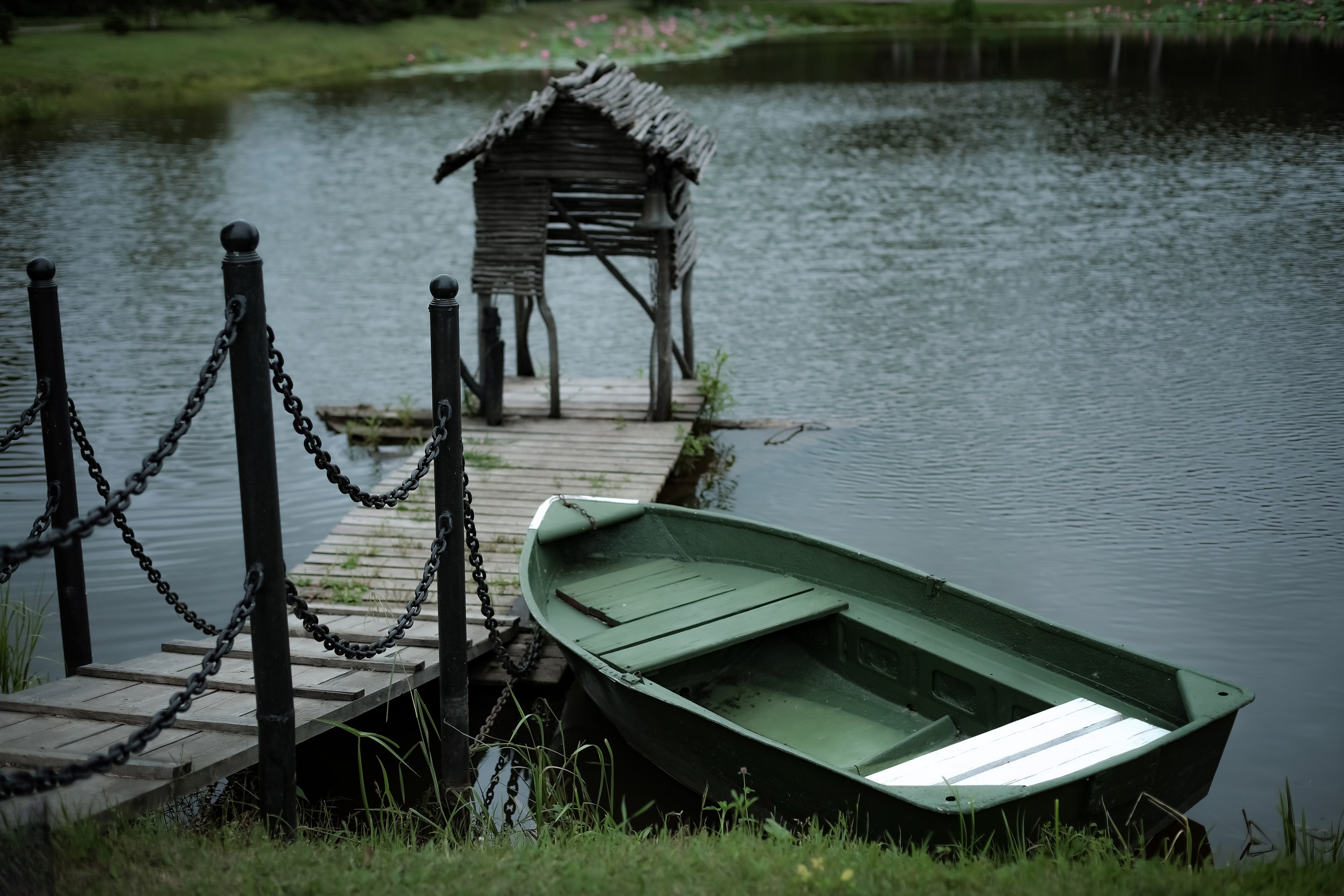 В лотосах. Фотограф г. Хабаровск. Семейные и индивидуальные съёмки