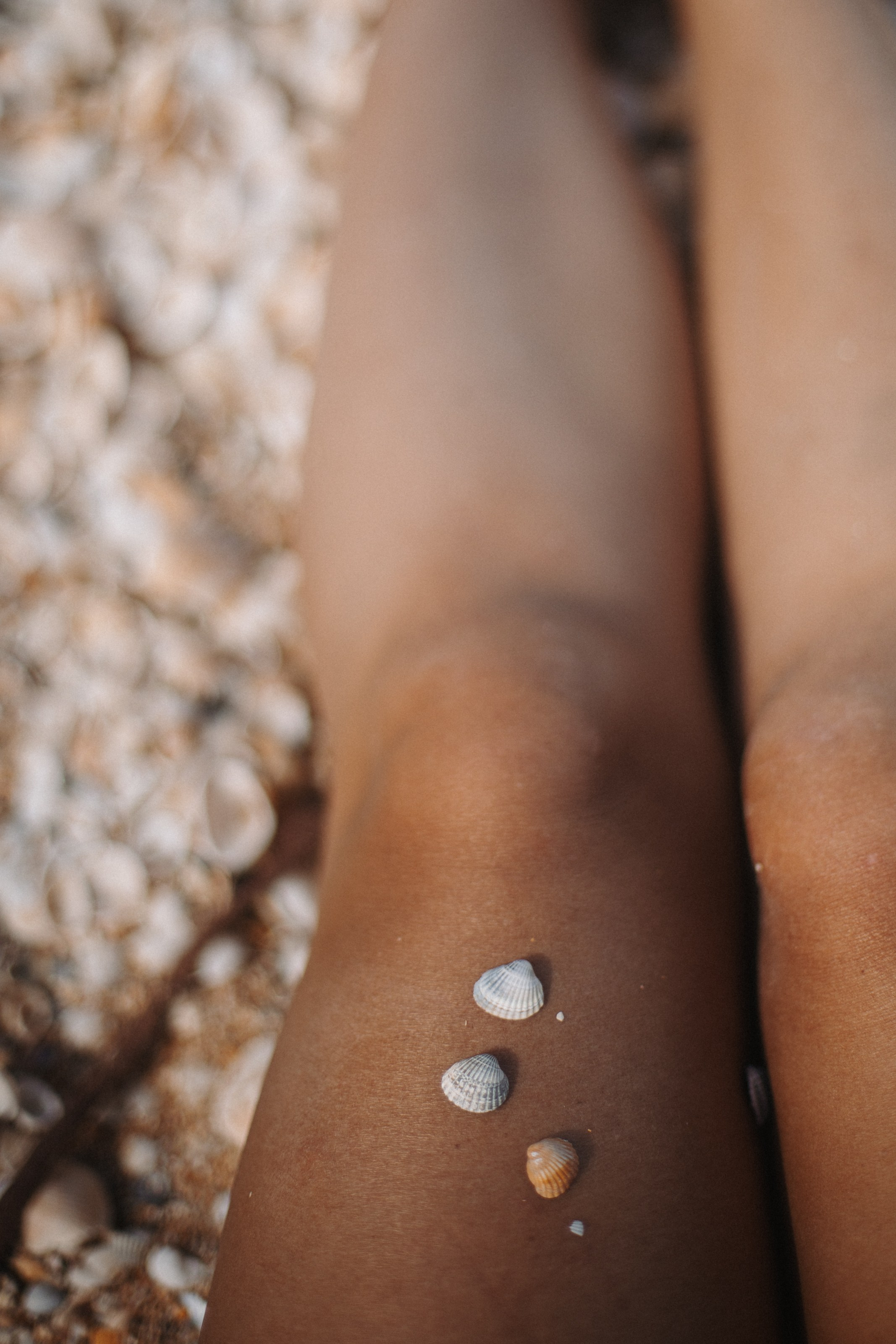 Crimea. Фотограф на Юге России