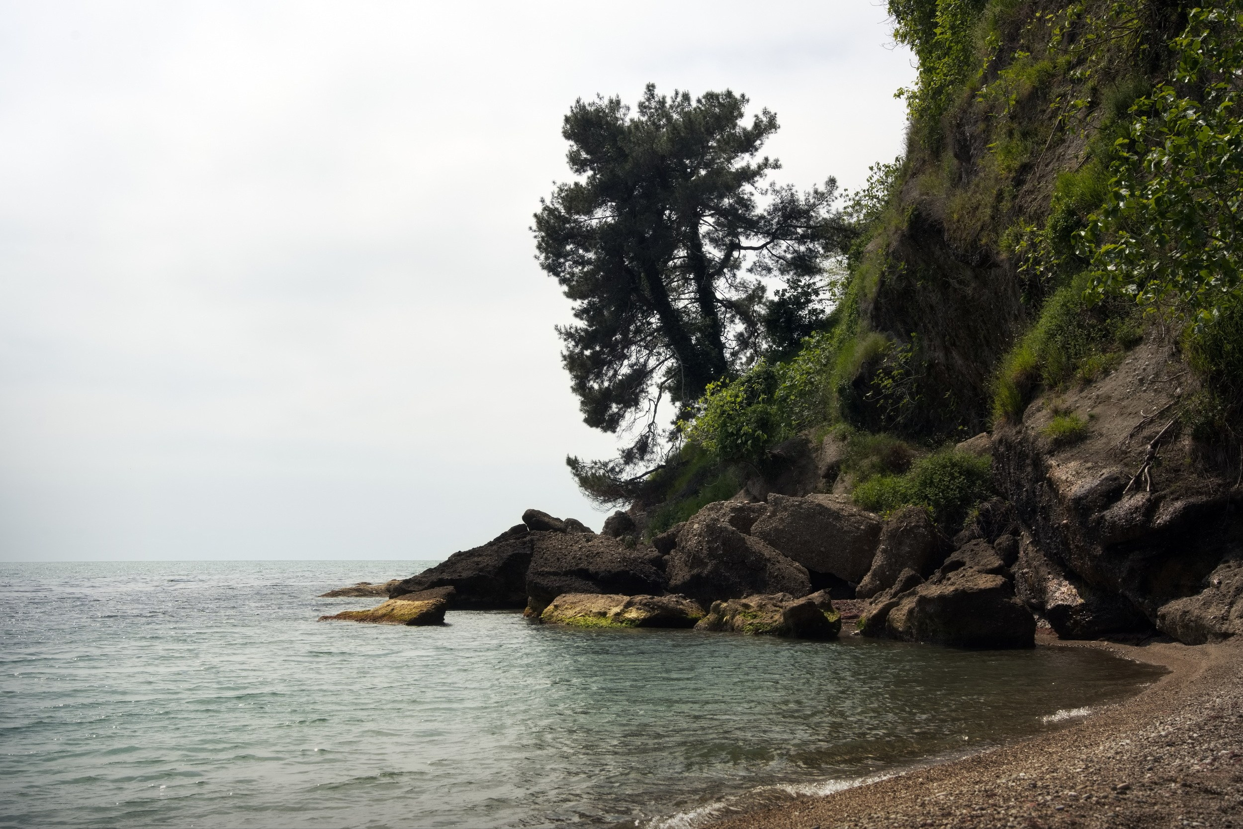 Путешествие по Абхазии в начале мая 2025 г. Вадим Шейдин