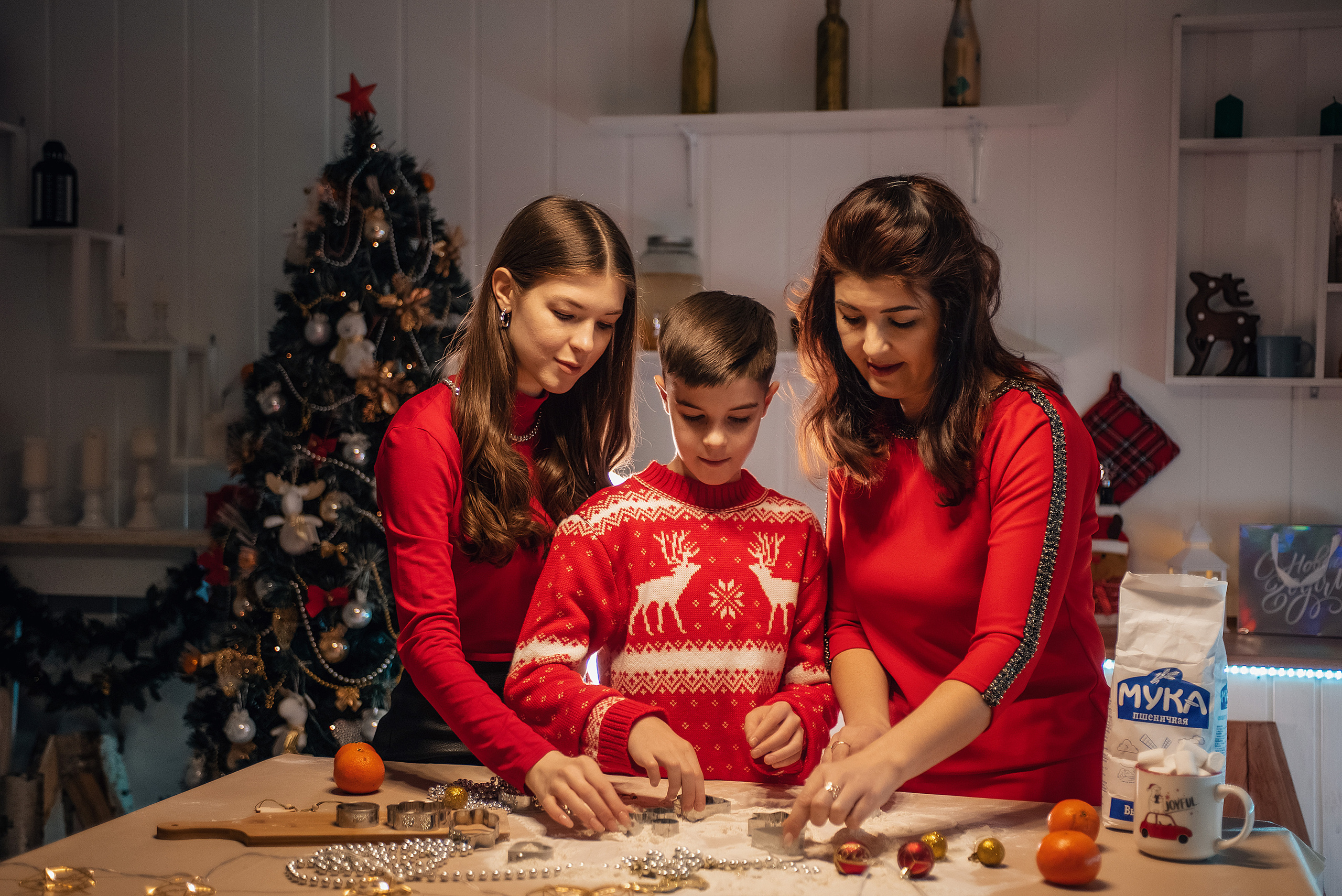 Новогодние в студии. Свадебный и семейный фотограф в Камышлове Ирина Чуркина