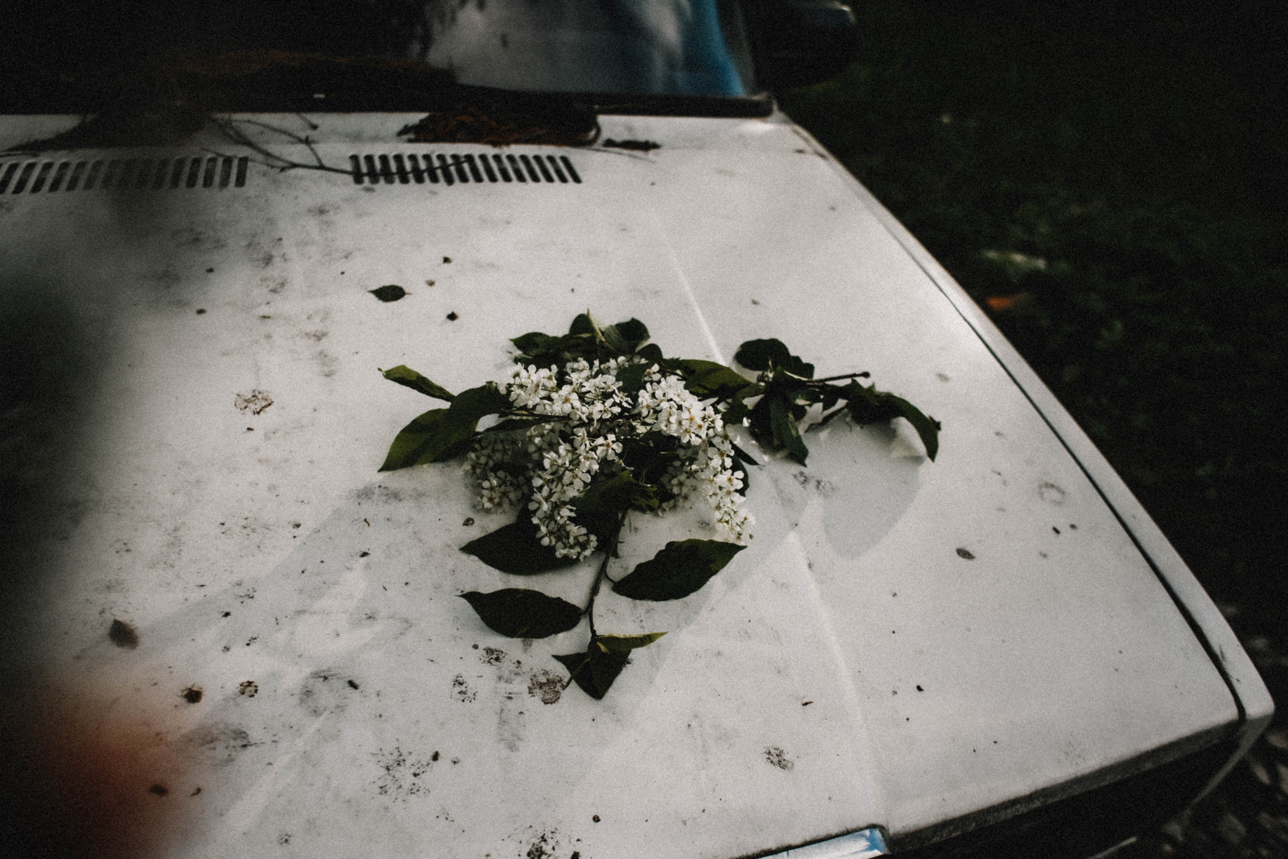 Таня. Весна. Цветы. Фотограф в Нижнем Новгороде