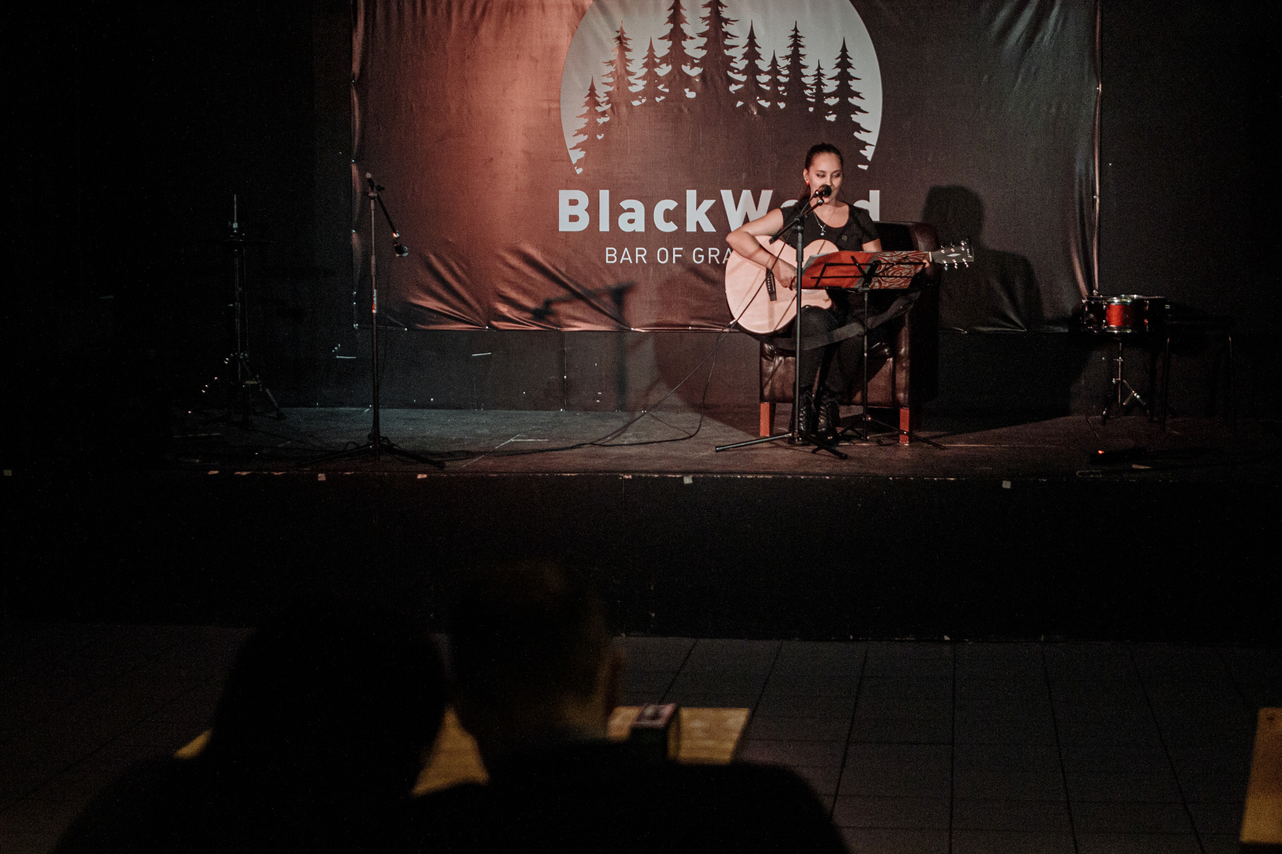 Акустический концерт в баре Blackwood. Фотограф Суботица и Нови Сад