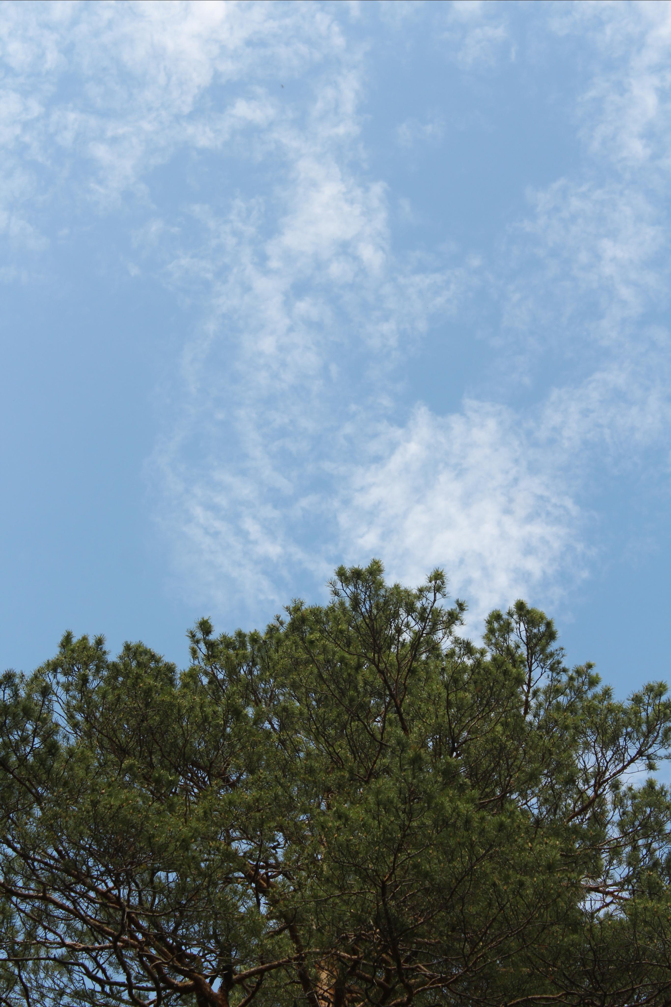 Первая встреча с Шаманкой. Фотограф Суботица и Нови Сад