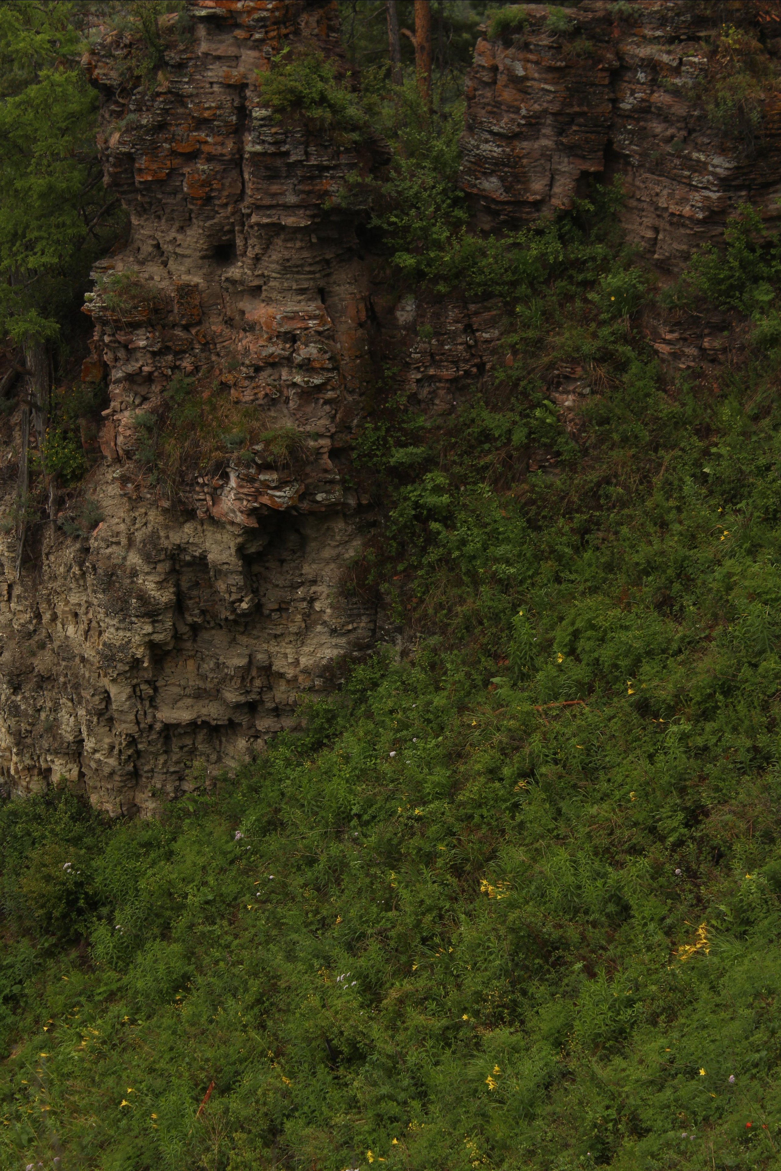 Первая встреча с Шаманкой. Фотограф Суботица и Нови Сад