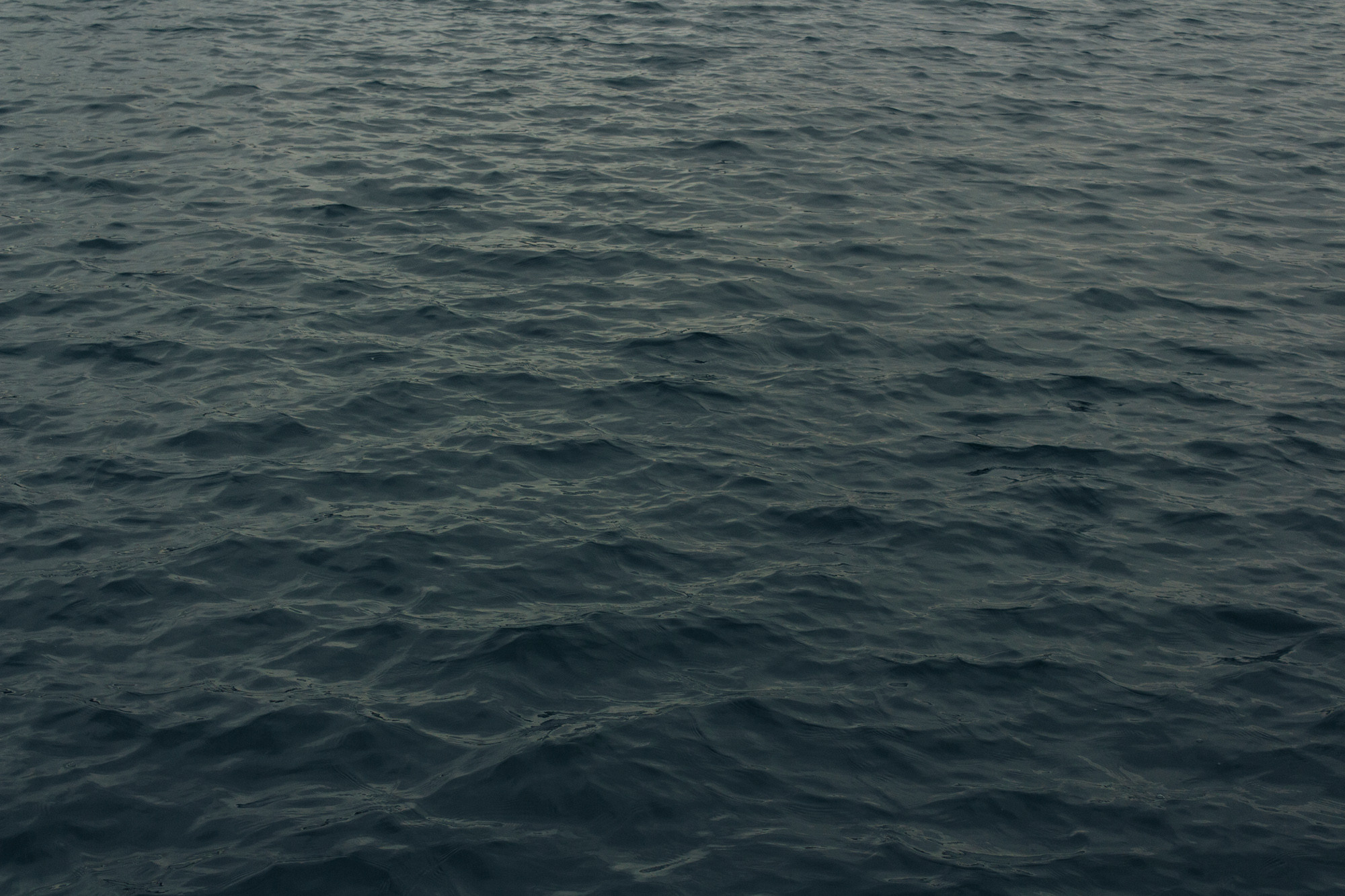 Прогулка по набережной с Ромой и Катей. Фотограф Суботица и Нови Сад