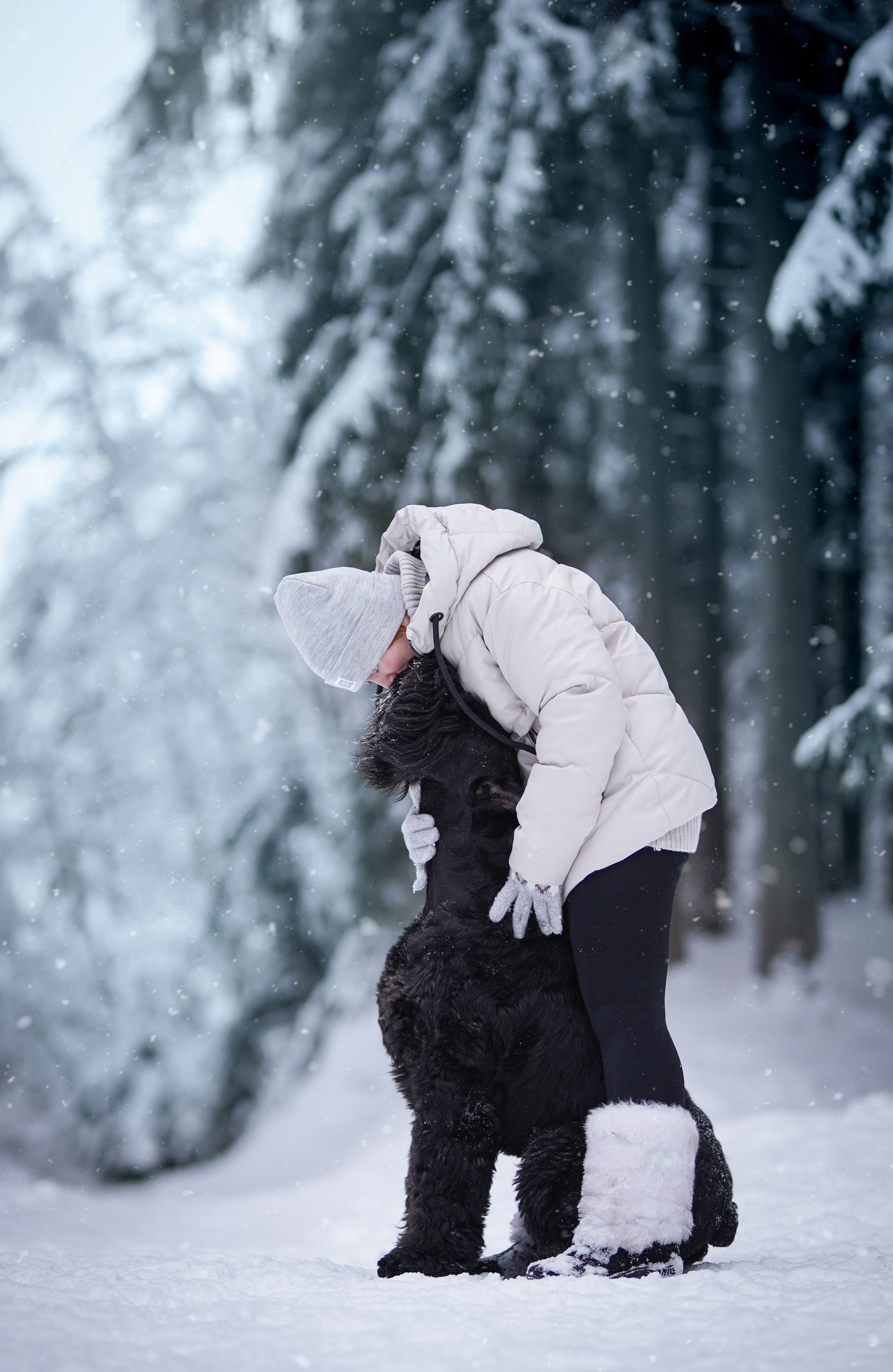 Оля Миша и шнауцеры. Фотограф-анималист в Санкт-Петербурге Яна Мартынова