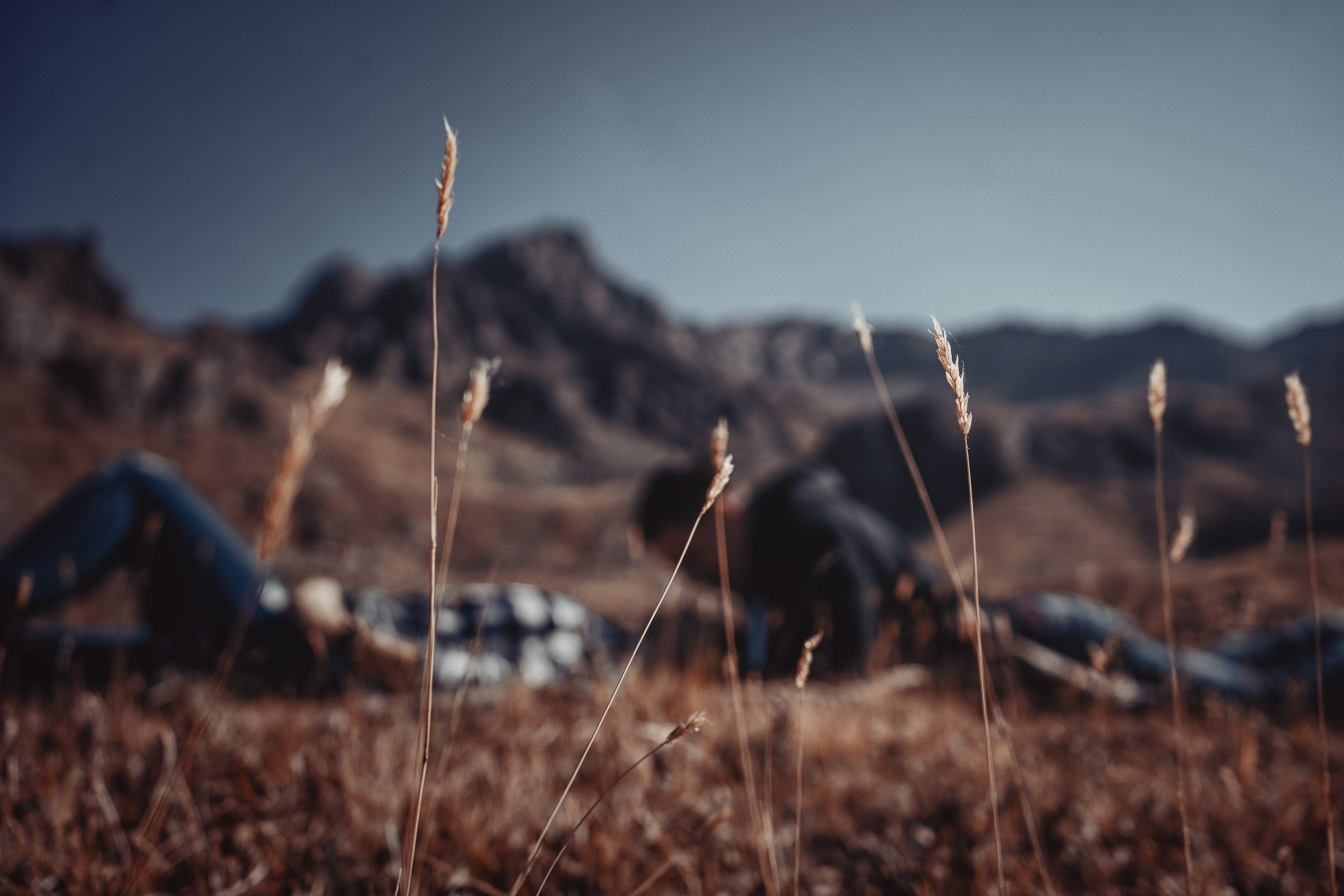 Натали и Артем. Семейный фотограф, женский фототерапевт