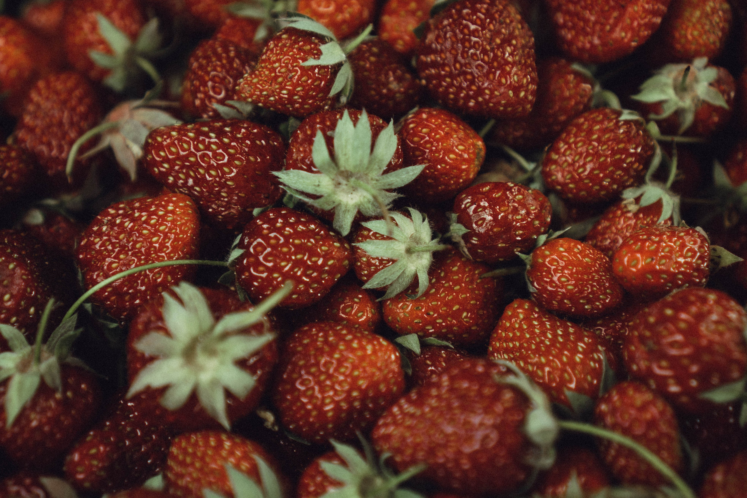 Кавказ. Профессиональный фотограф, Санкт-Петербург — Виктория Богомолова