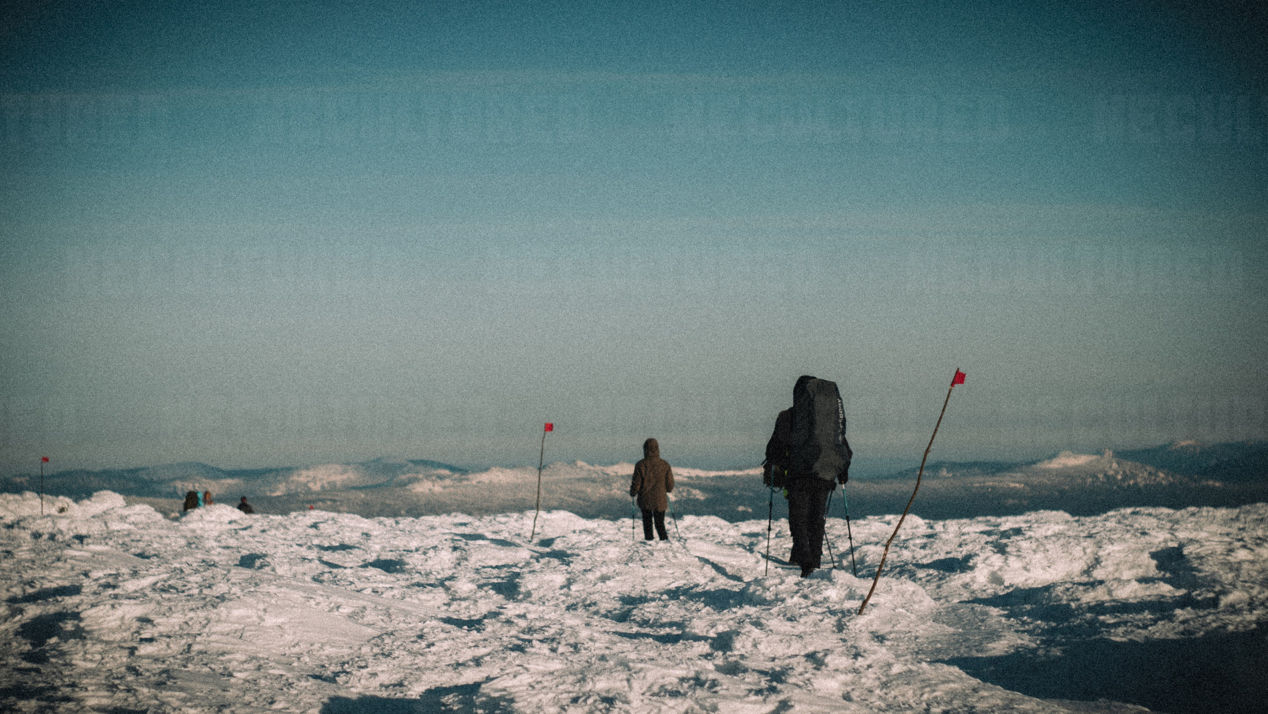 Фотосессии в путешествии. Пленочный фотограф в Москве | Necultured