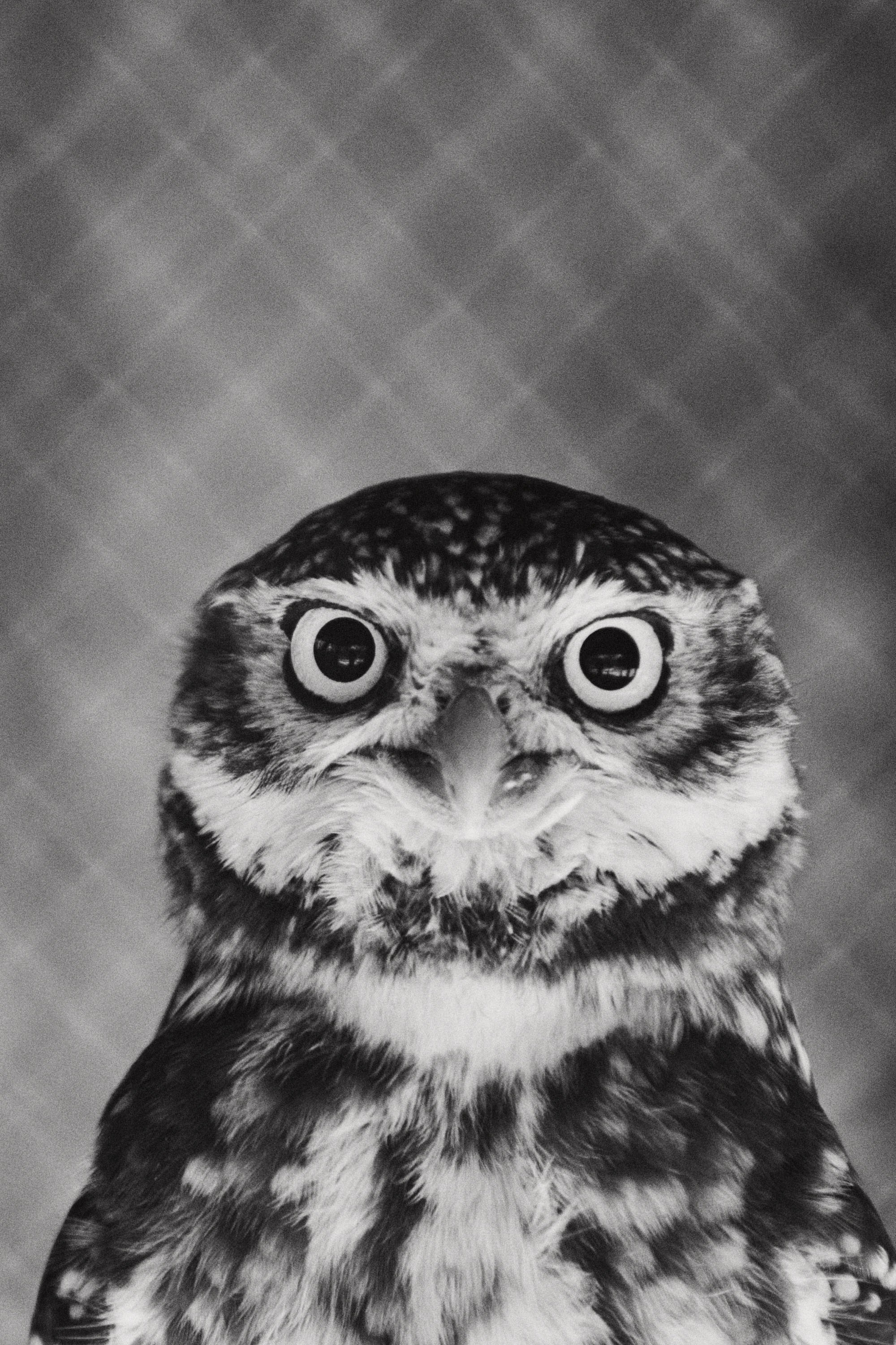 Зоопарк Иваново. Фотограф в Иваново: Каталожная съемка одежды и постельного белья, Wildberries