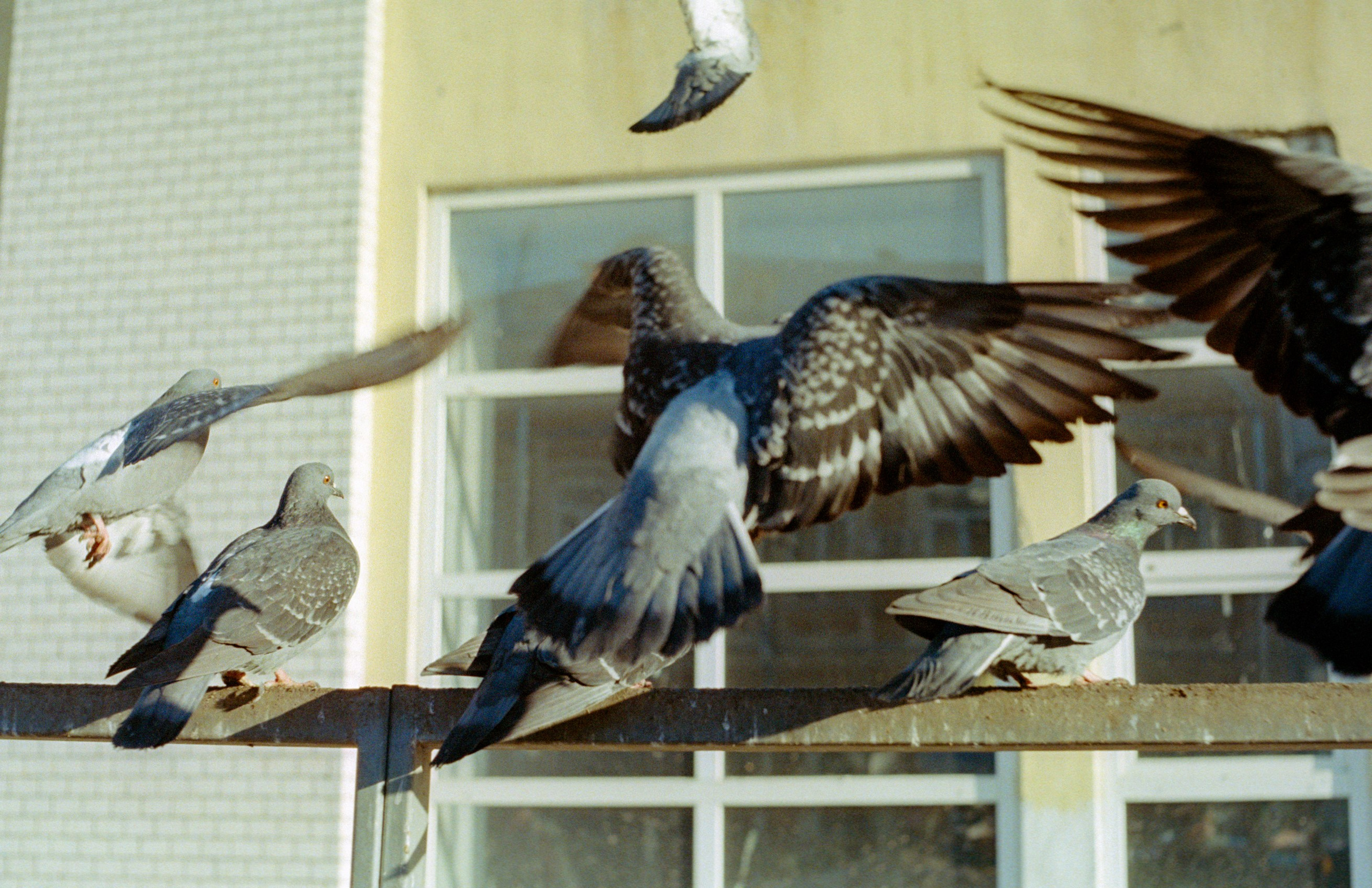 Макаров Сергей | Креативный продюсер