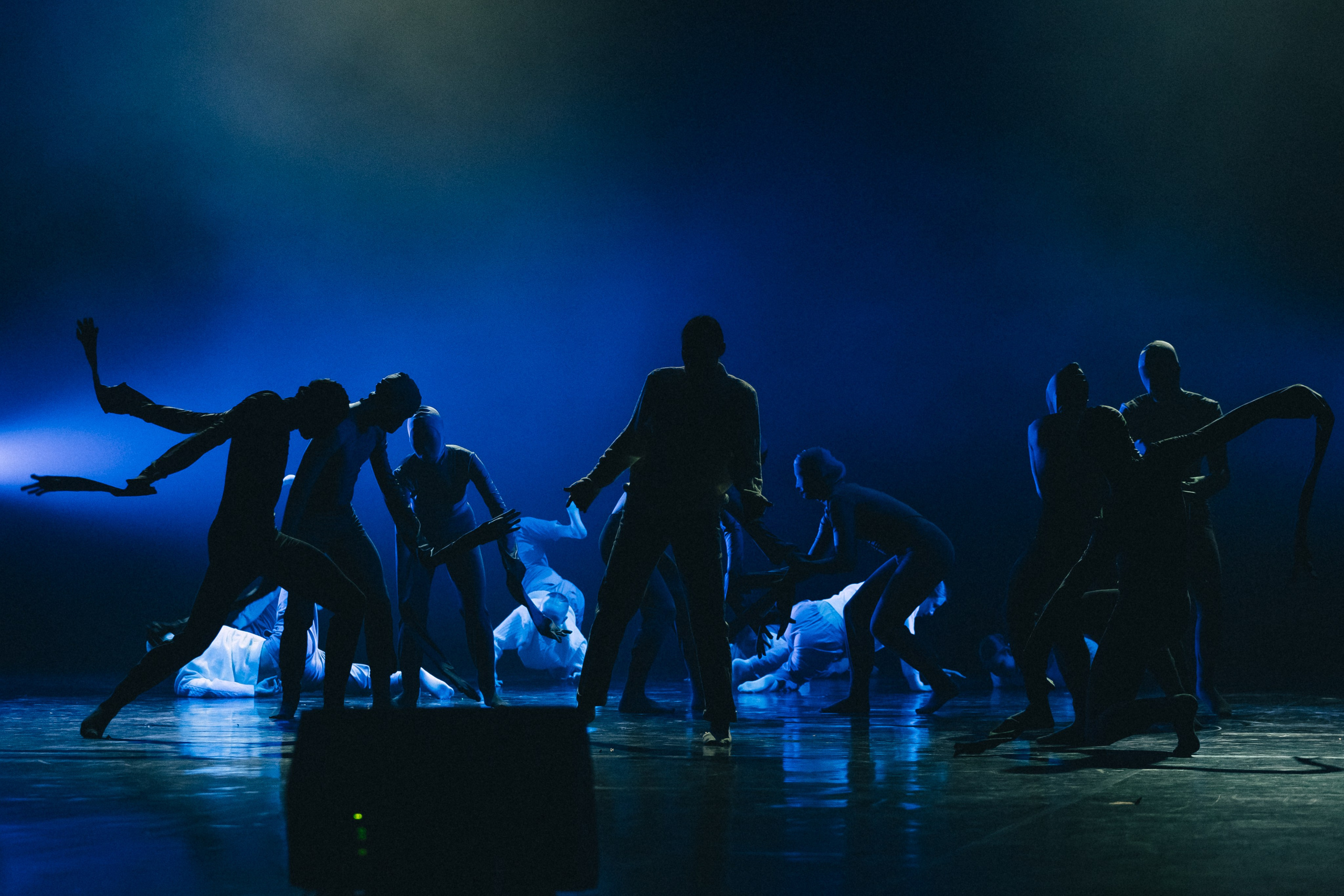Отчётный концерт (КемГИК). Фотограф Кемерово | Сергей