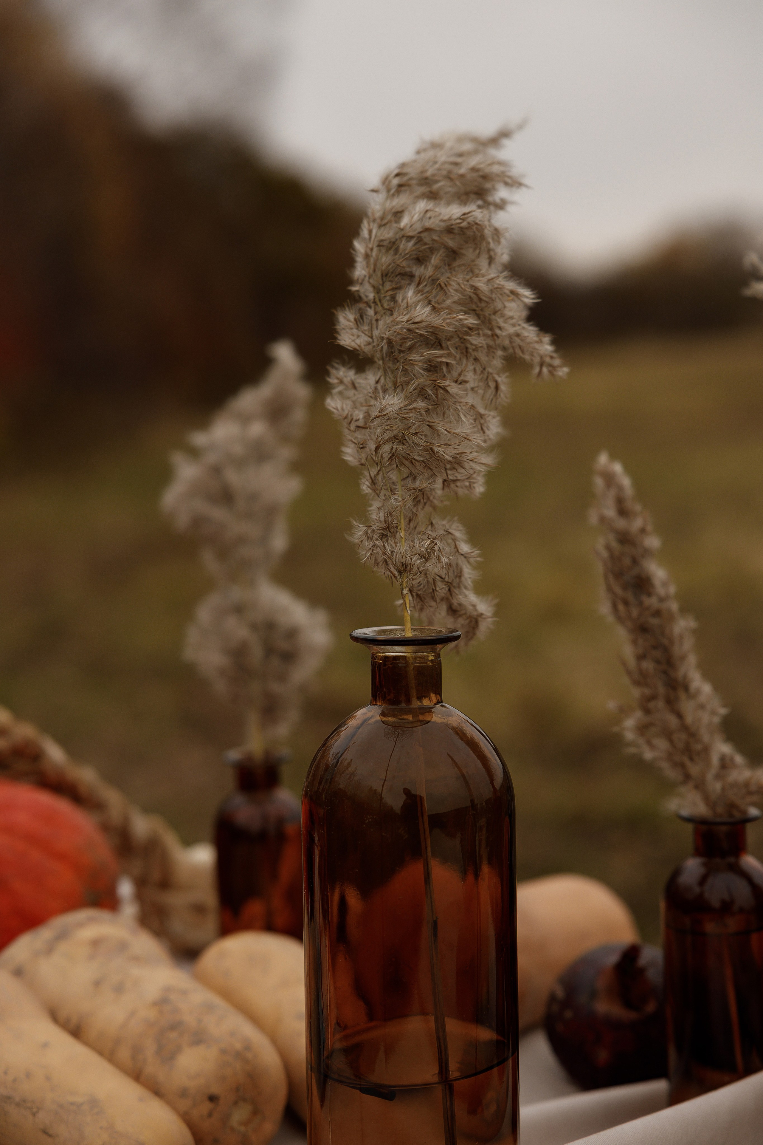 Ясная Поляна. Свадебный и семейный фотограф  во Владивостоке Ольга Украинец