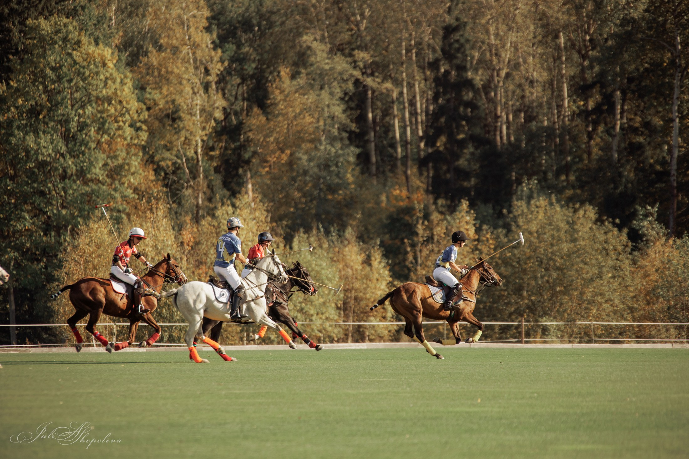 Осенний кубок по конному поло. Детская Конная фотография в Москве Юлия Шепелева