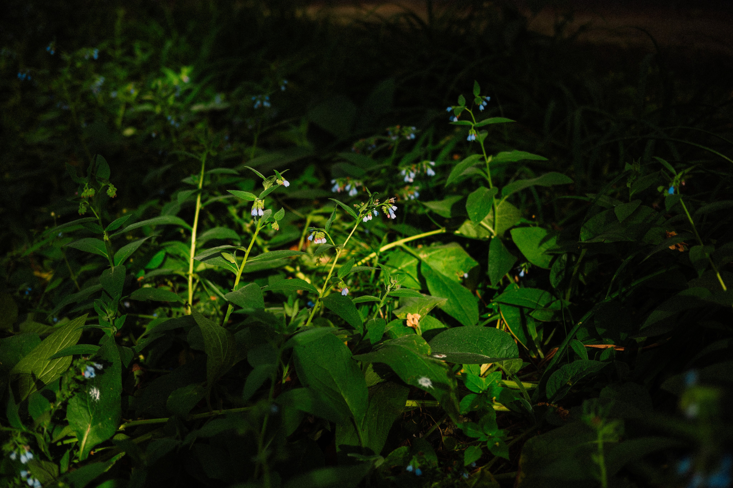 Стрит: Алматы, лето 2025. Фотограф в Алматы — Дарья Фёдорова