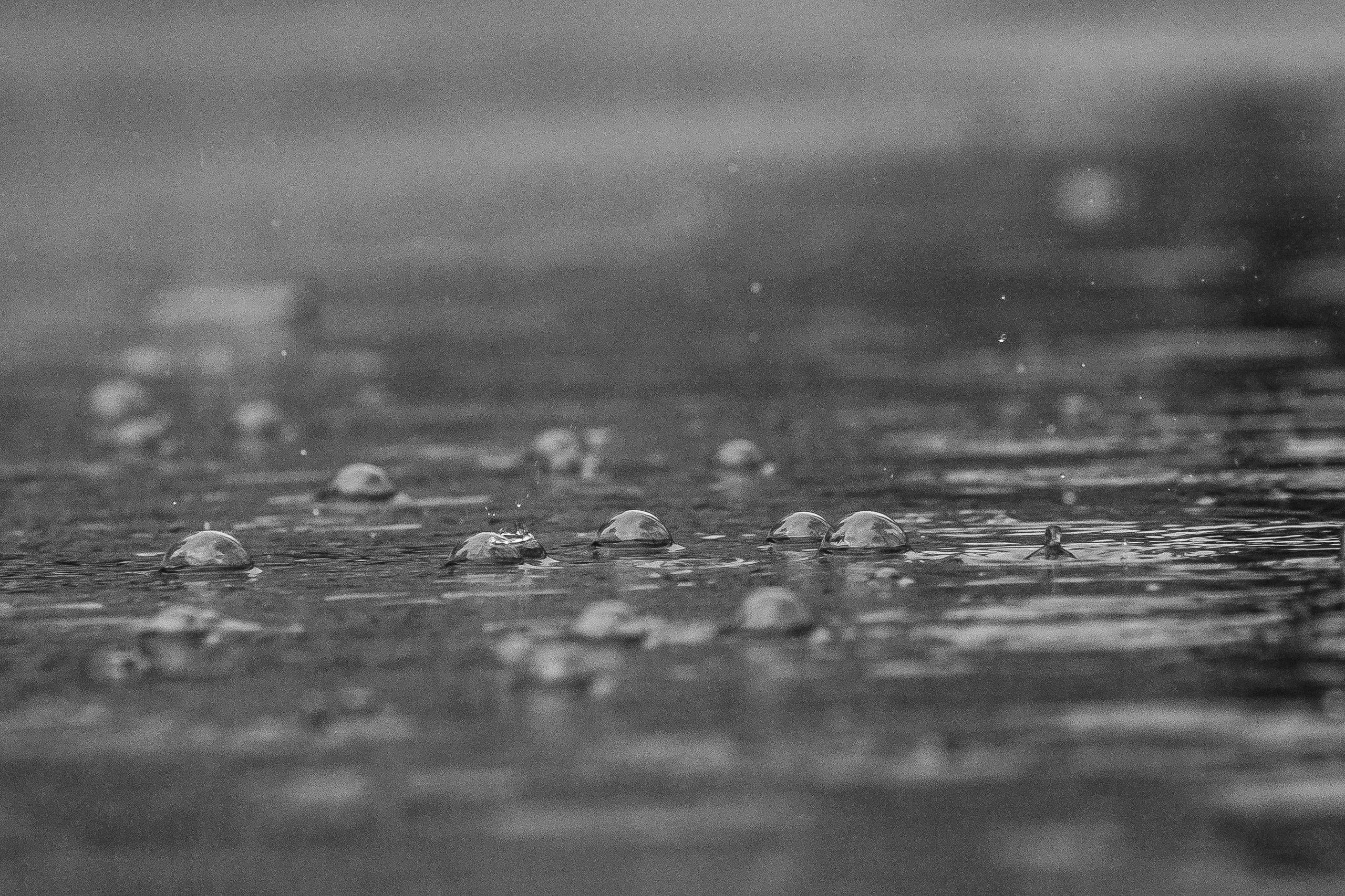 Городской пейзаж. Фотограф Владимир Охрименко