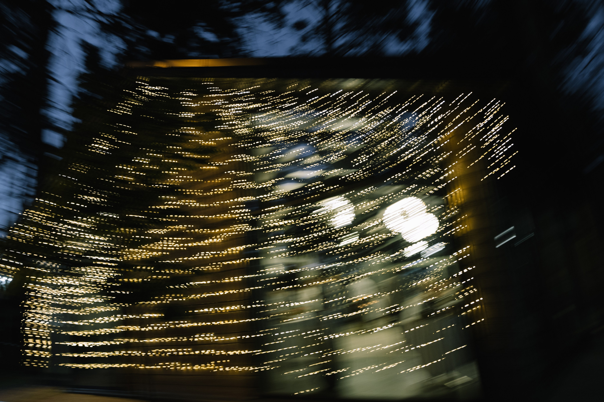 В конце лета. Фотограф Елена Краснопевцева