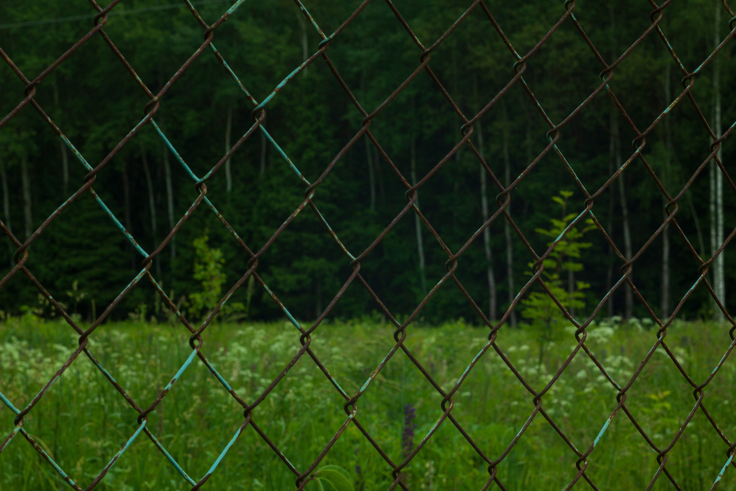 Dacha vibes. Папка кадров 📁