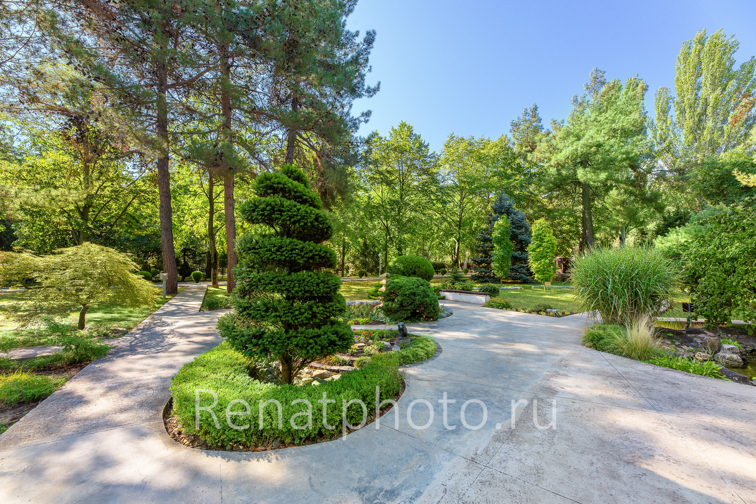 Renatphoto-интерьерная фотосъемка в краснодаре. Профессиональная фотосъёмка интерьеров, предметная фотосессия еды для меню г. Анапа