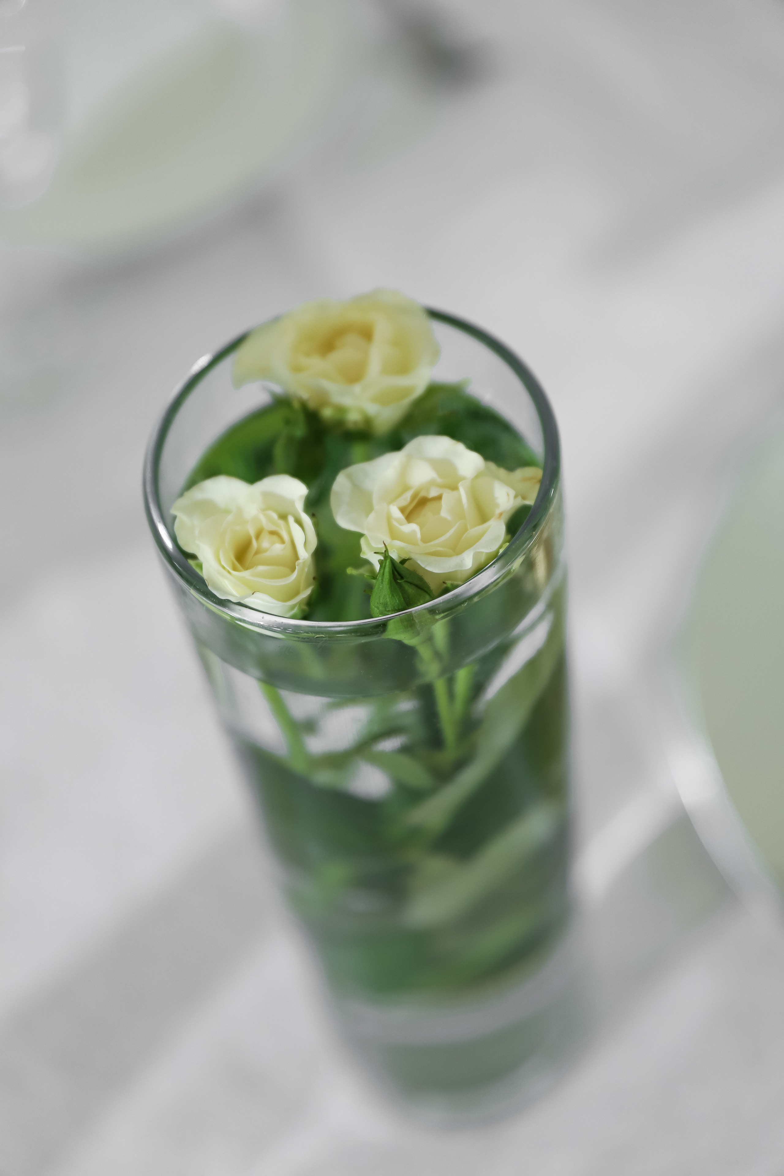 Райский Берег. Фотограф в Краснодаре Анна Светикова