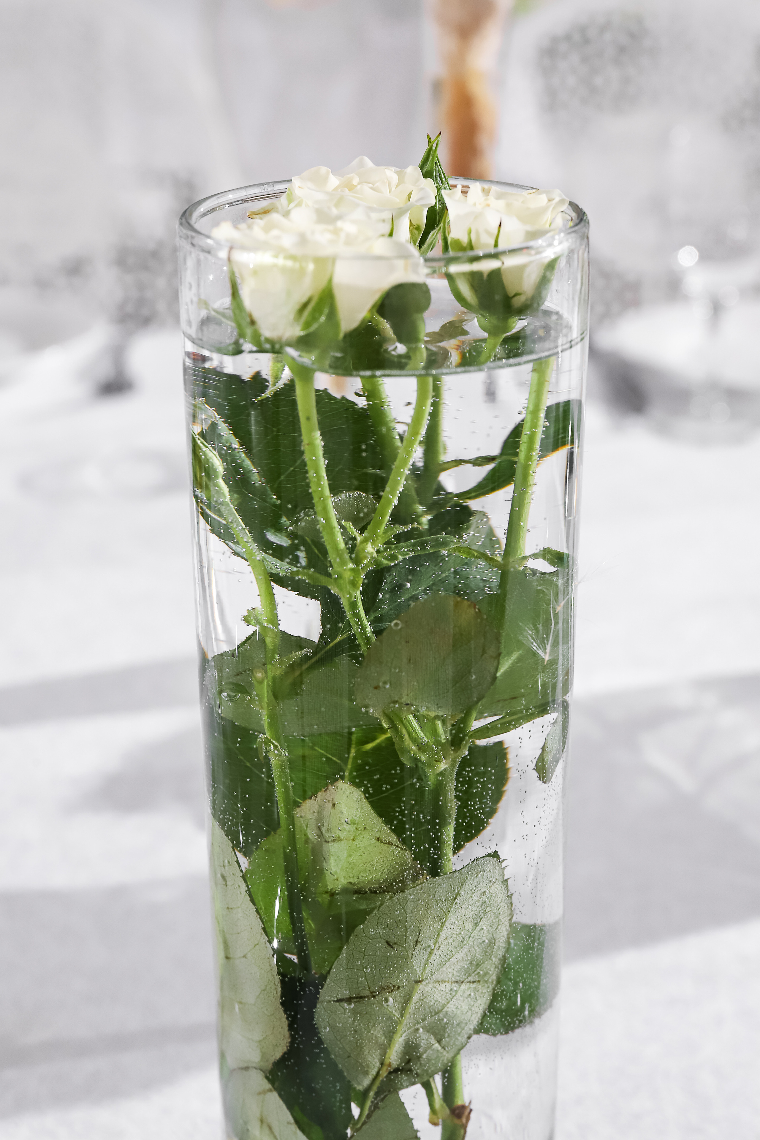 Райский Берег. Фотограф в Краснодаре Анна Светикова