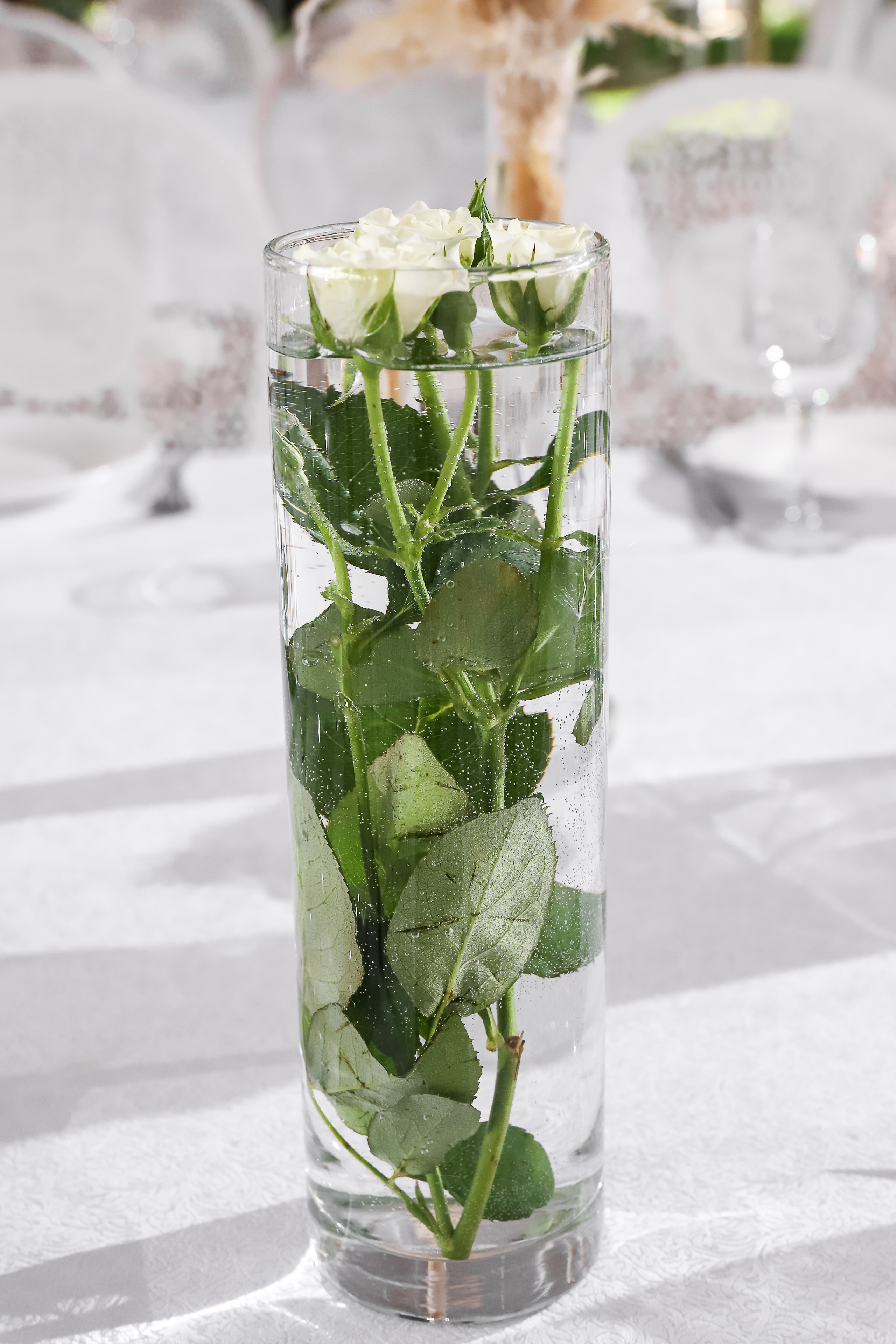 Райский Берег. Фотограф в Краснодаре Анна Светикова