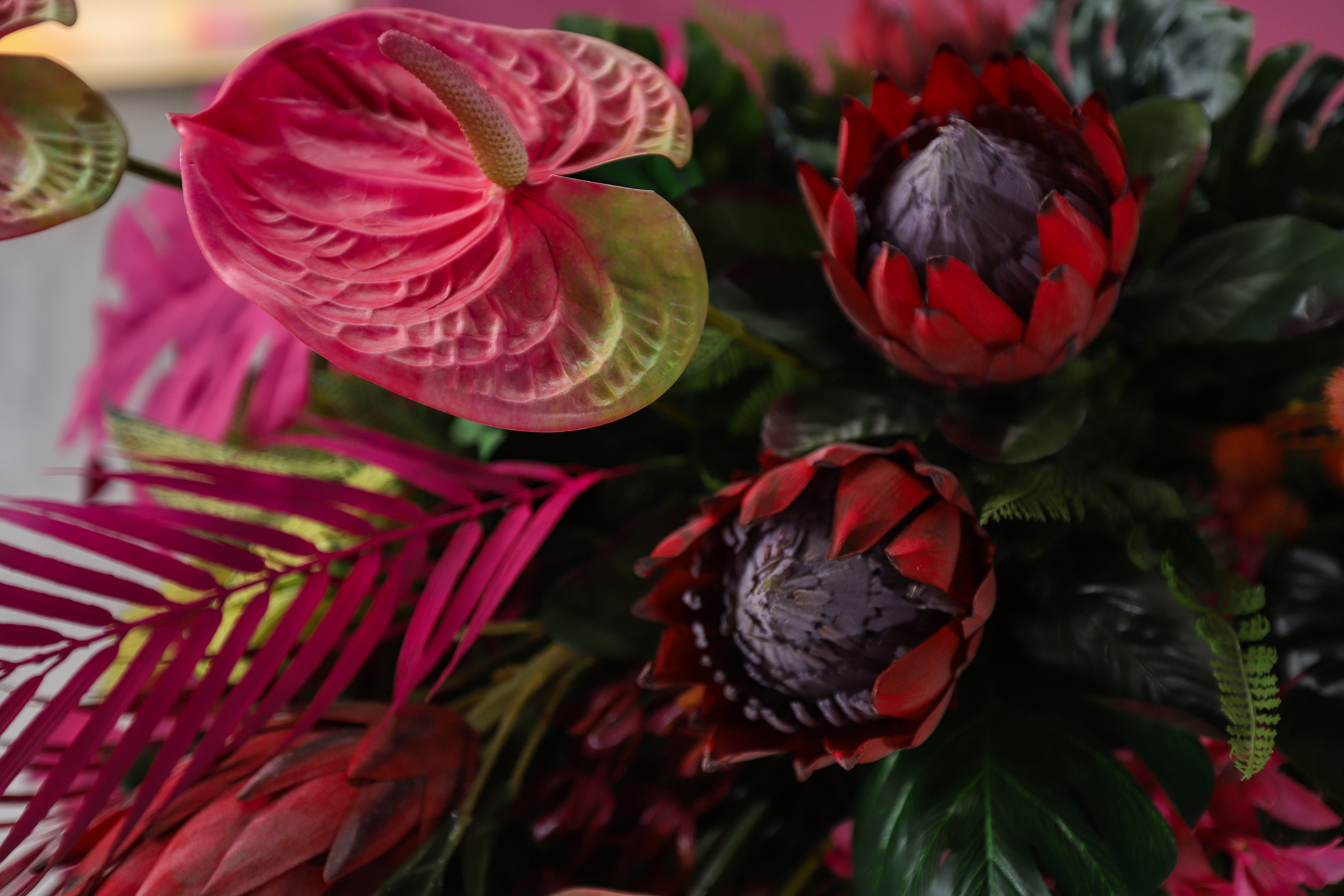 ZAGARRO. Фотограф в Краснодаре Анна Светикова