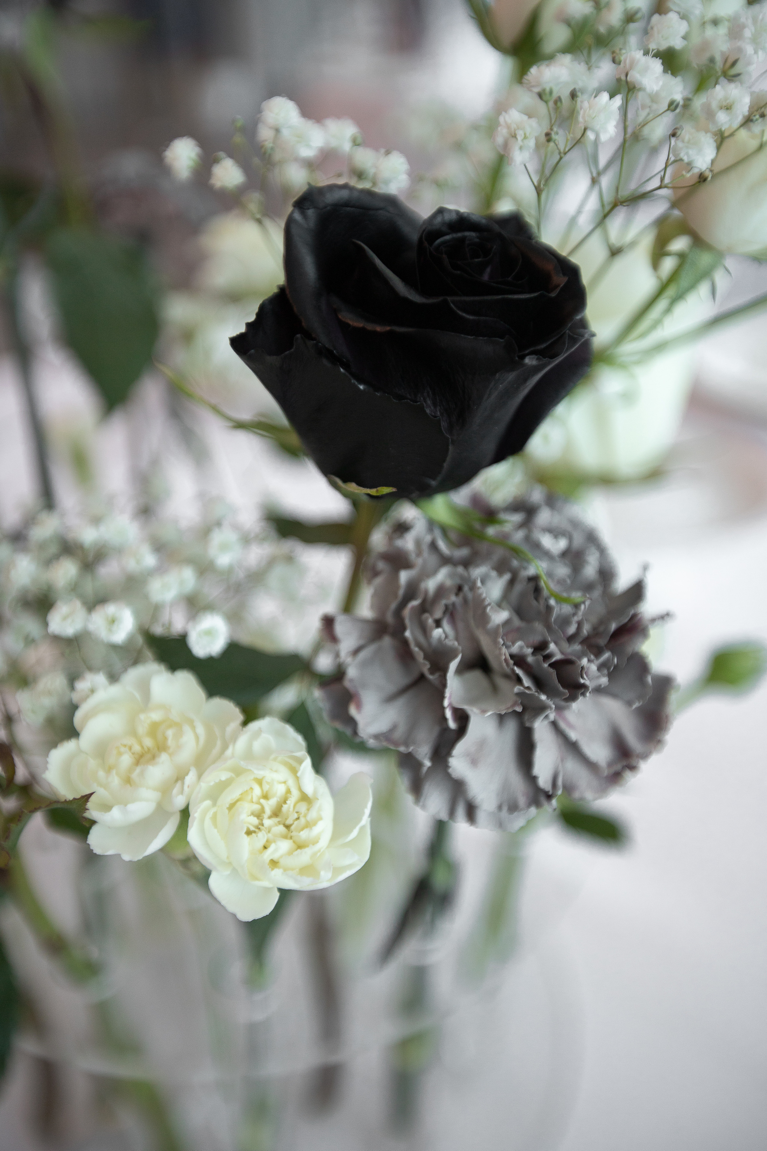 Mer Hall. Фотограф в Краснодаре Анна Светикова