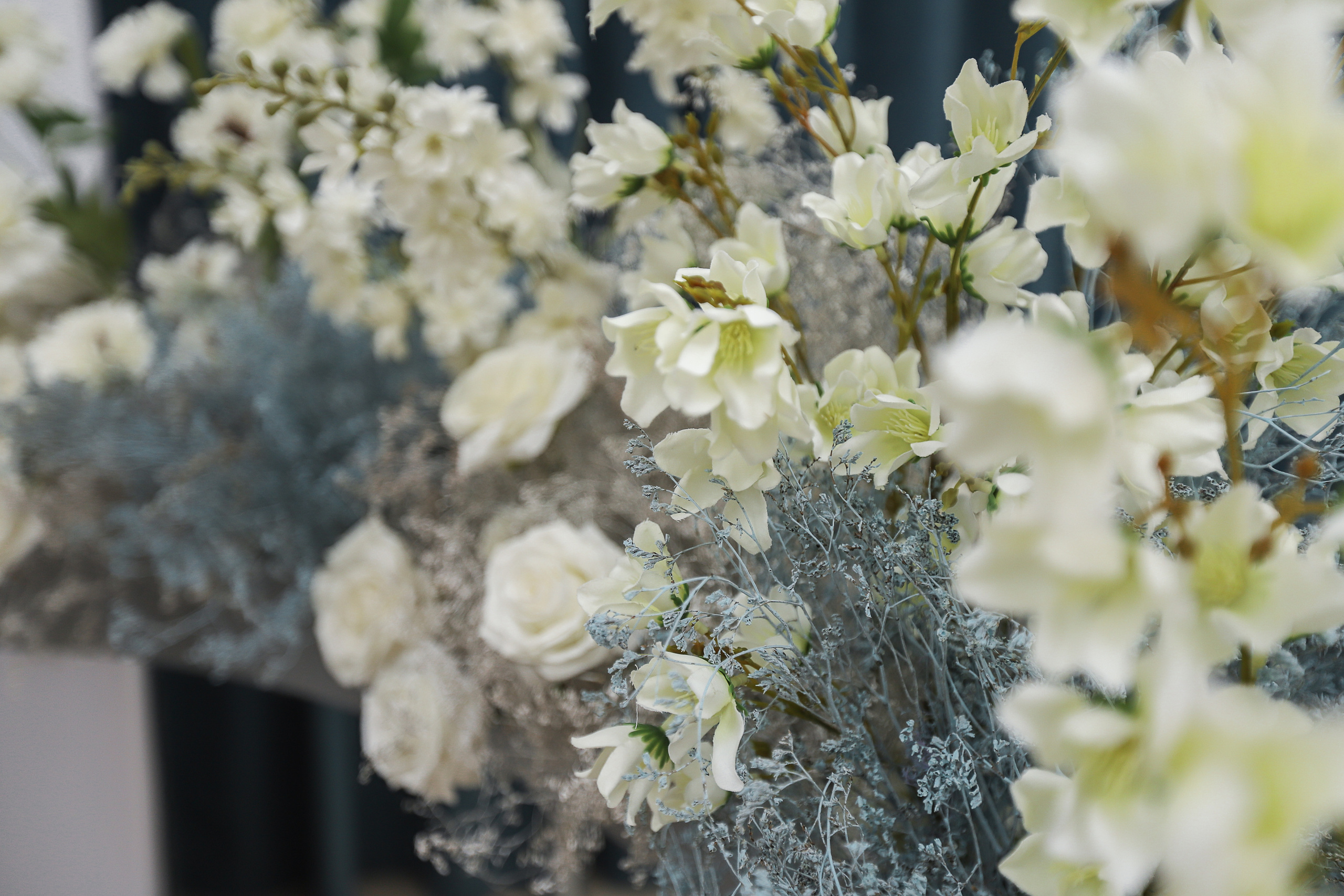 Артишок. Фотограф в Краснодаре Анна Светикова