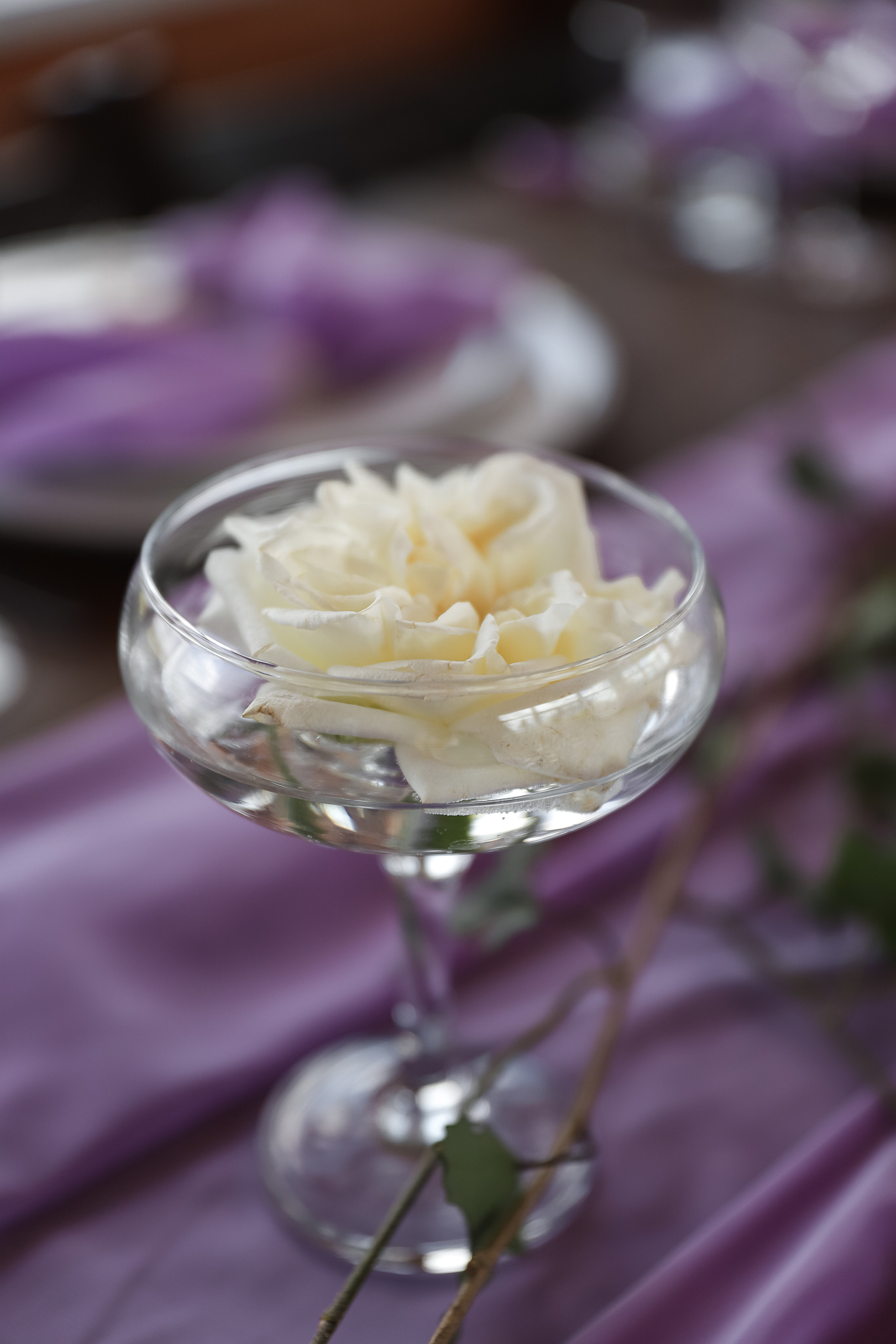 За городом. Фотограф в Краснодаре Анна Светикова