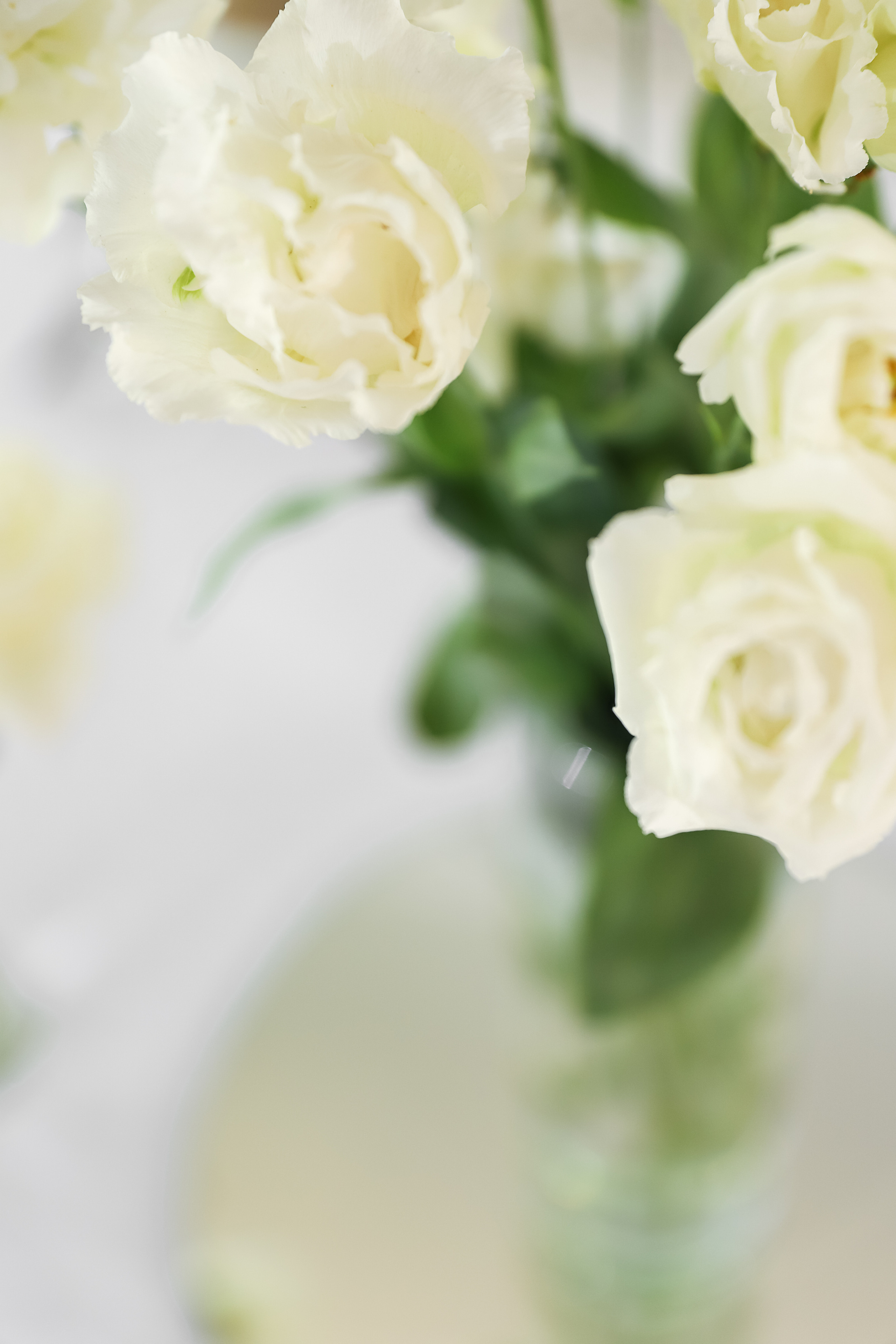 Райский Берег. Фотограф в Краснодаре Анна Светикова