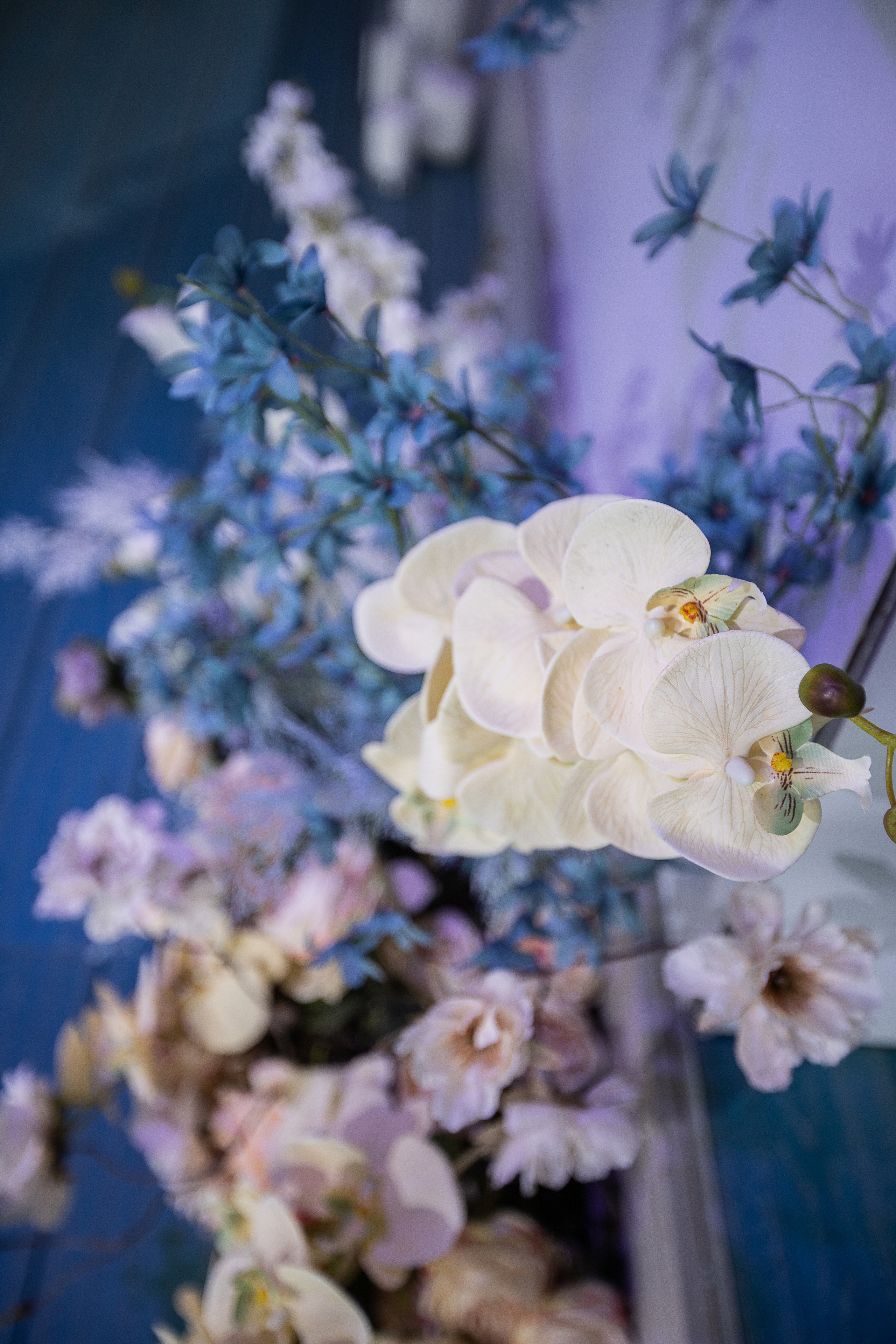 СТАНЪ. Фотограф в Краснодаре Анна Светикова