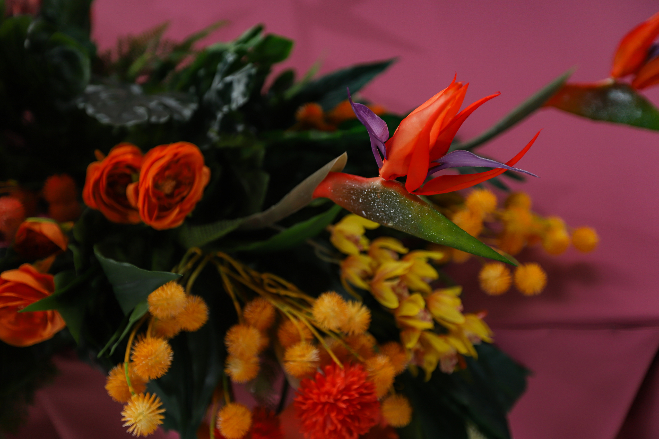 ZAGARRO. Фотограф в Краснодаре Анна Светикова