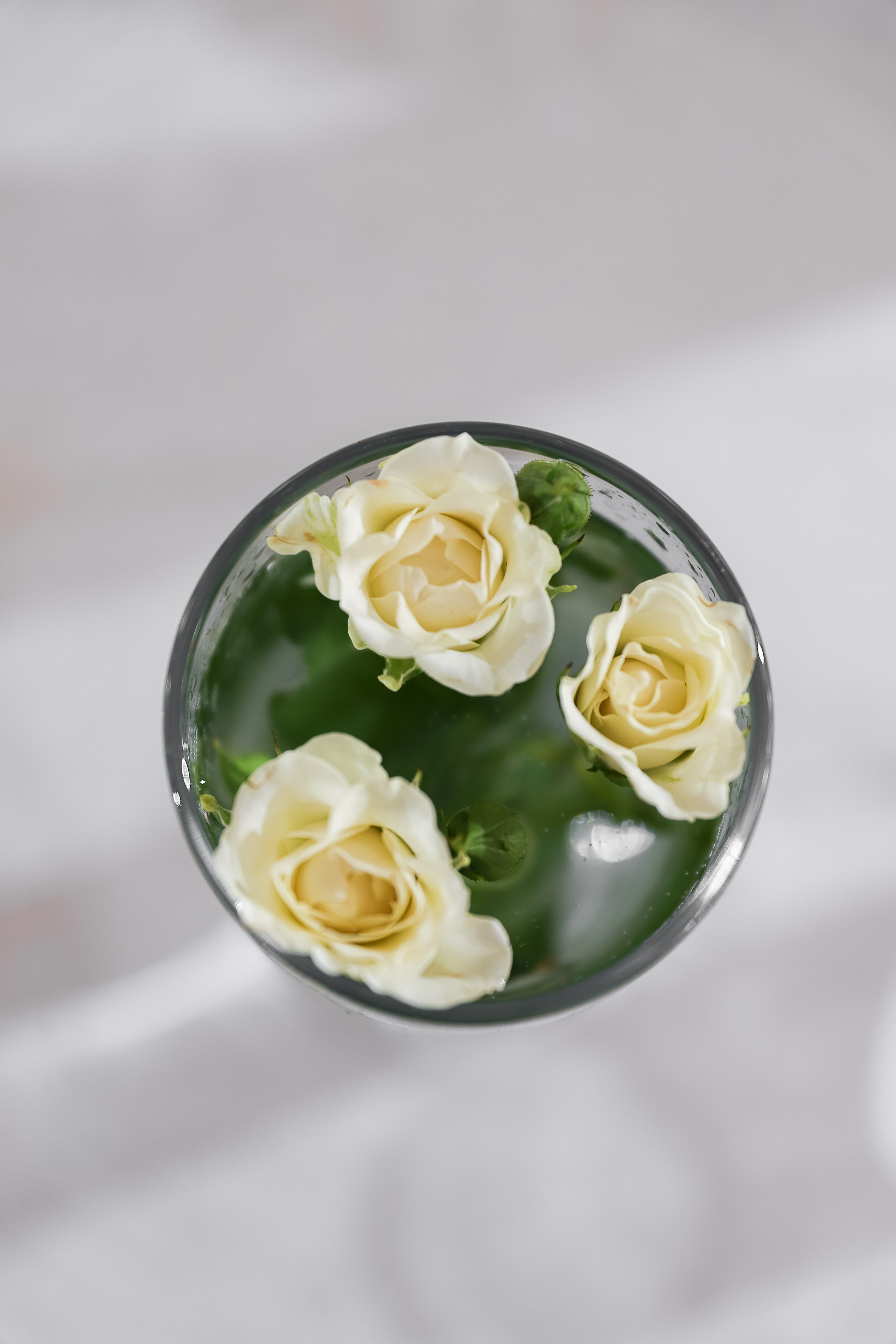 Райский Берег. Фотограф в Краснодаре Анна Светикова