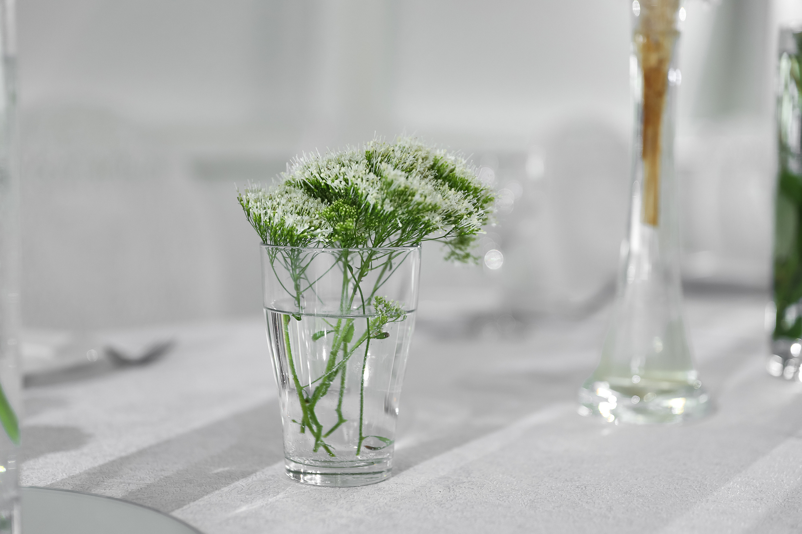 Райский Берег. Фотограф в Краснодаре Анна Светикова