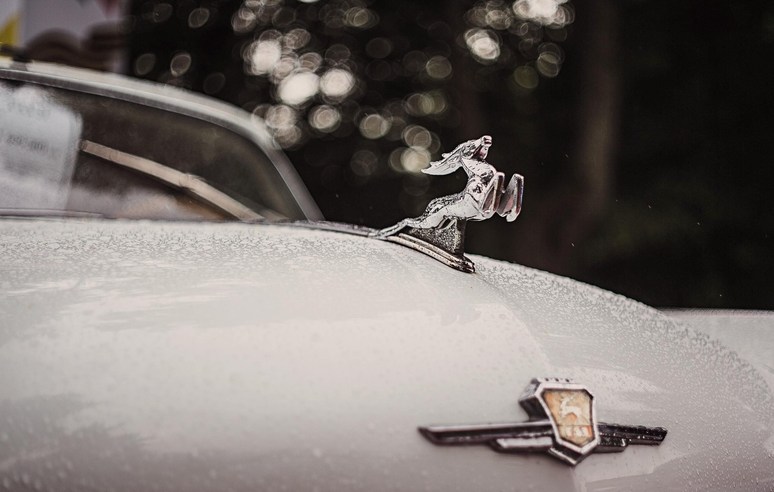 Выставка ретро автомобилей. Сокольники. Семейный и репортажной фотограф в Красноярске и Москве Виктор Бабинцев