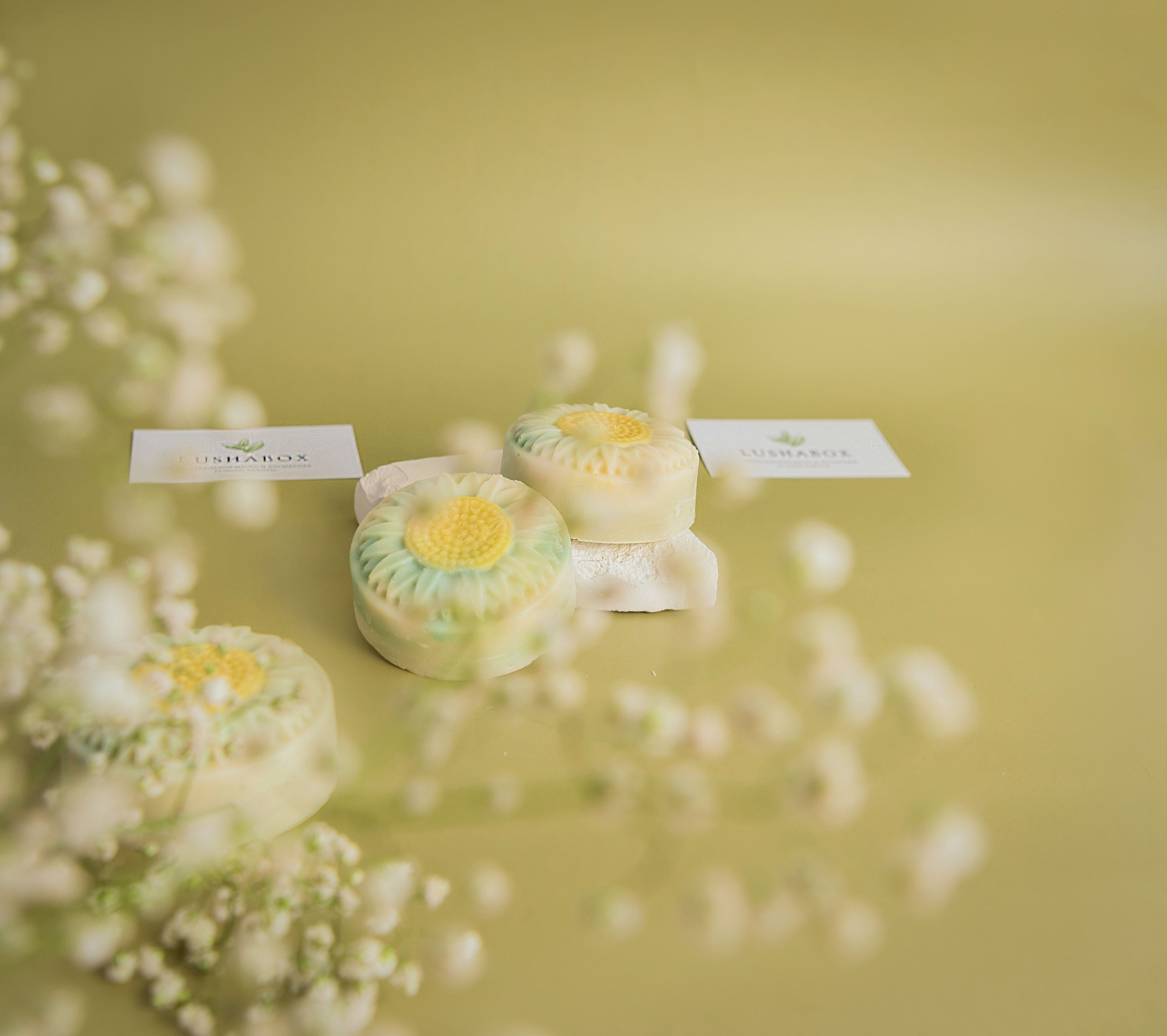 Контент для мастера по мыловарению. КОНТЕНТ/ЖЕНСКИЙ ФОТОГРАФ МЕДВЕДЕВА НАТАЛЬЯ