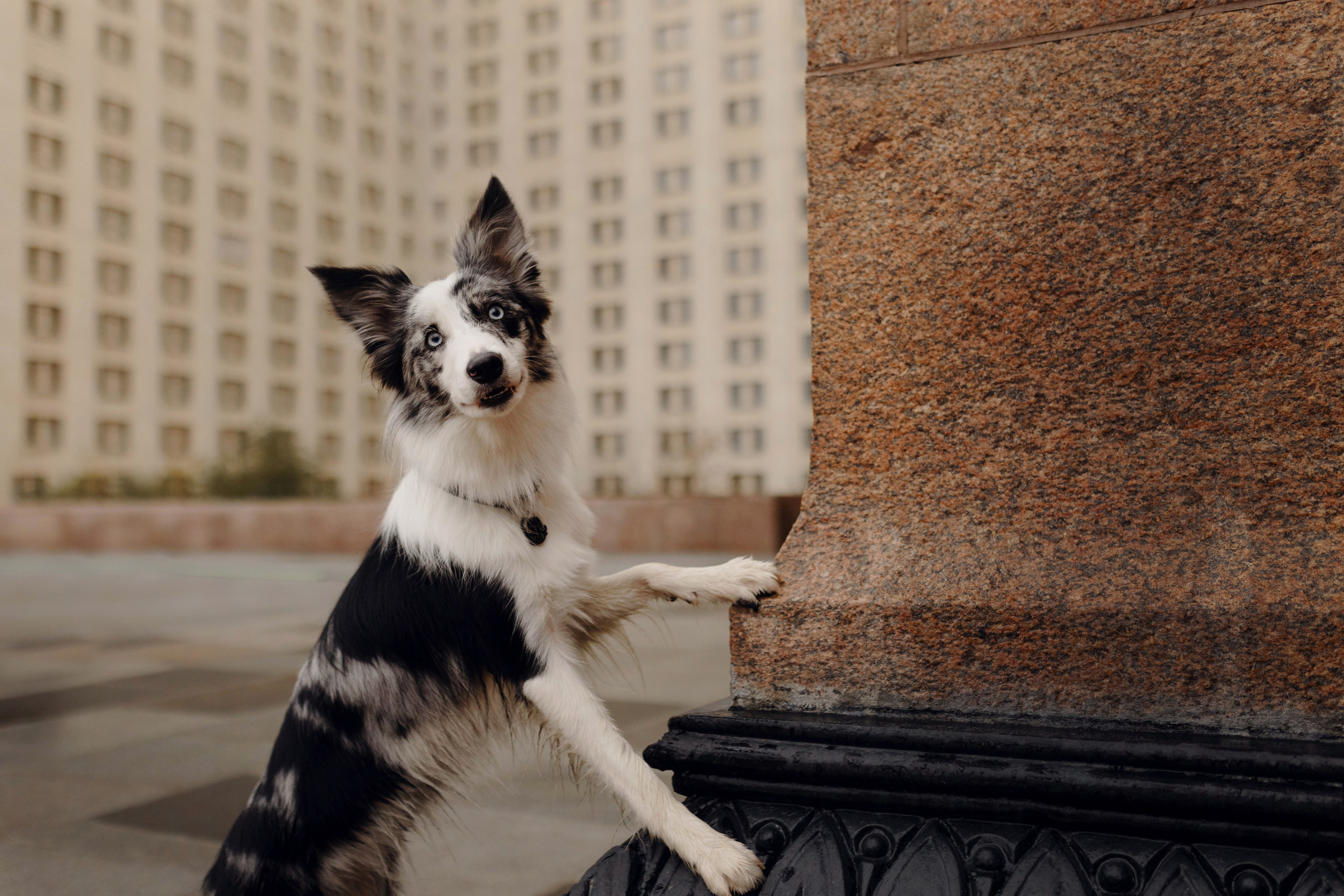 Москва / Настя и Рикотта. Фотограф Кузина Вера
