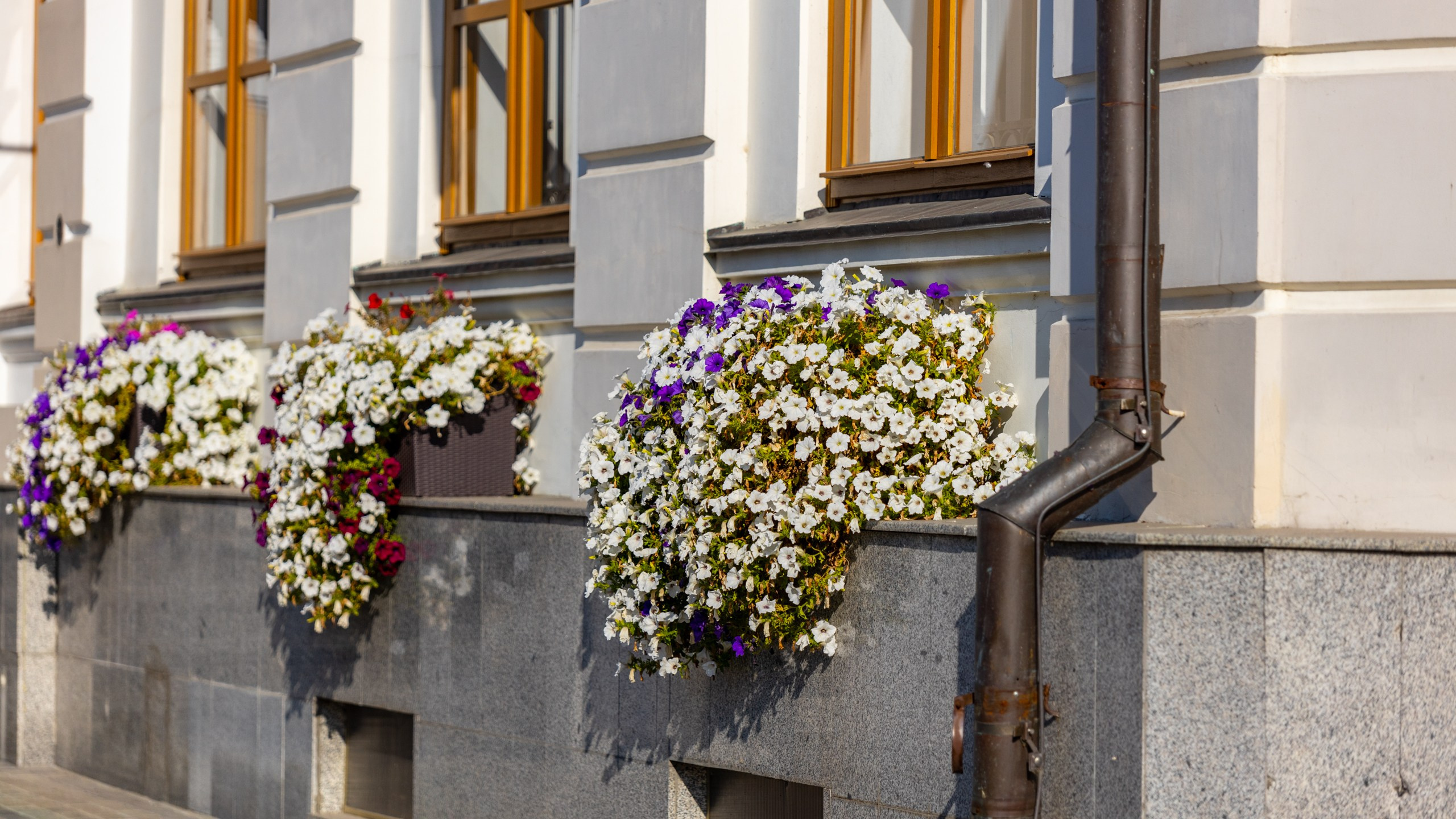 2020 10 Казань. Фотографии